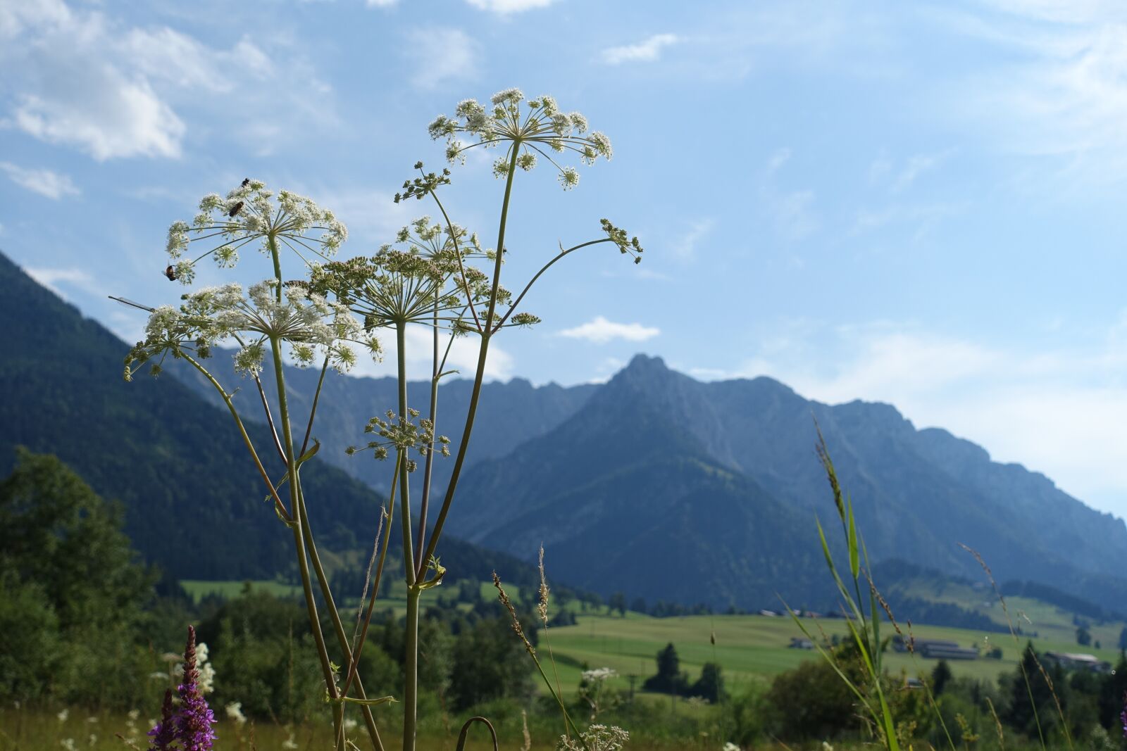 Sony Cyber-shot DSC-RX100 III sample photo. Nature, mountains, tyrol photography