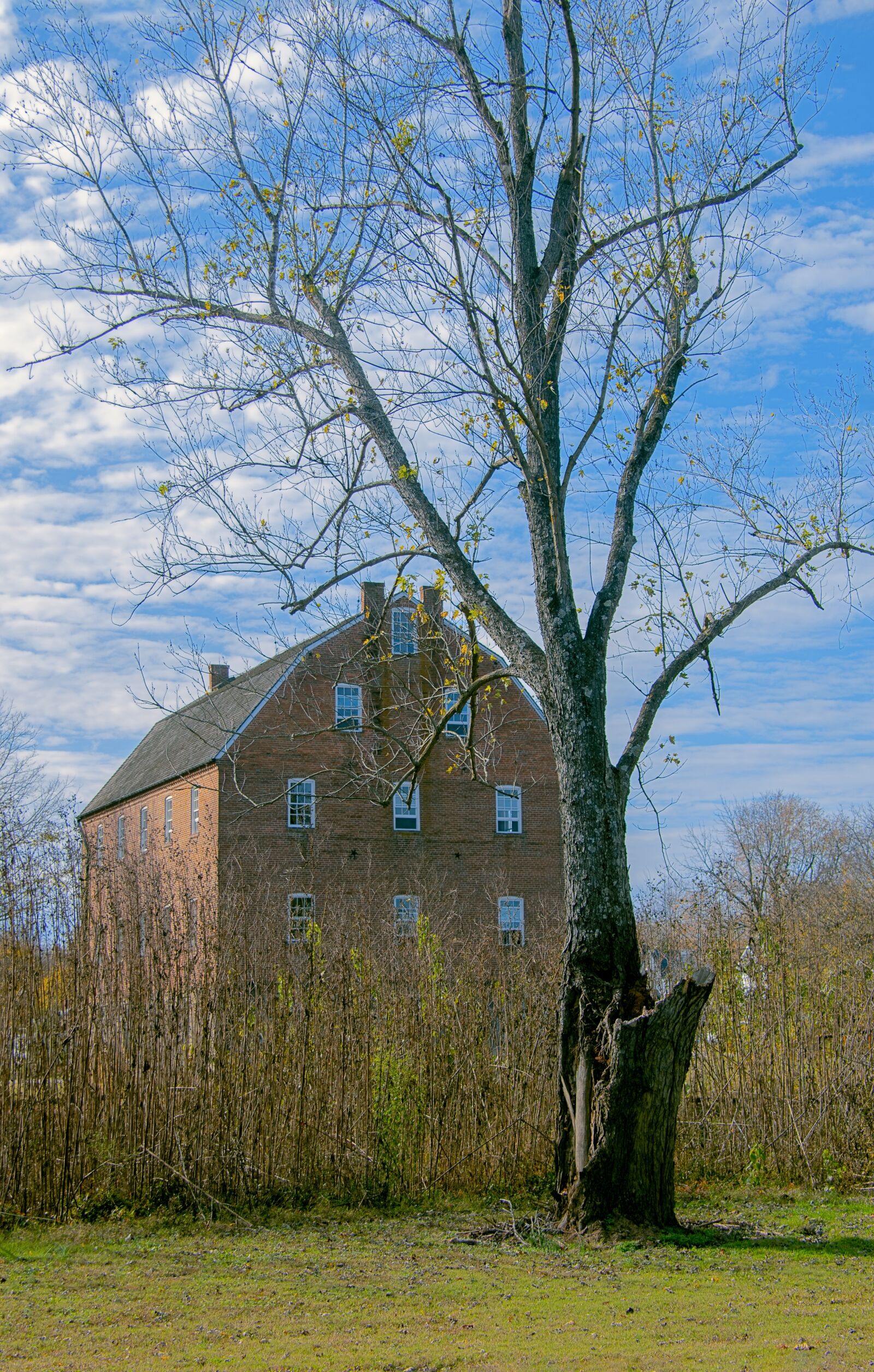 Nikon D850 sample photo. Scenic, country, mill photography
