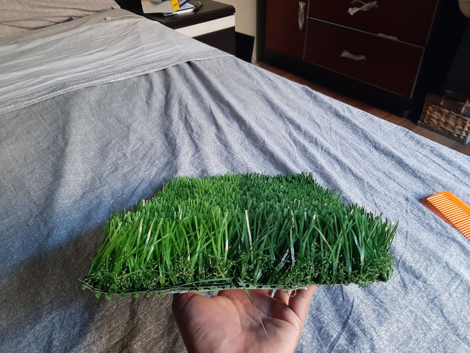 Samsung Galaxy A50 sample photo. Sports, artificial, turf photography