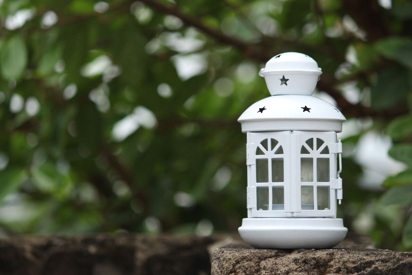 Canon EOS 700D (EOS Rebel T5i / EOS Kiss X7i) sample photo. Macro, miniature, figure photography