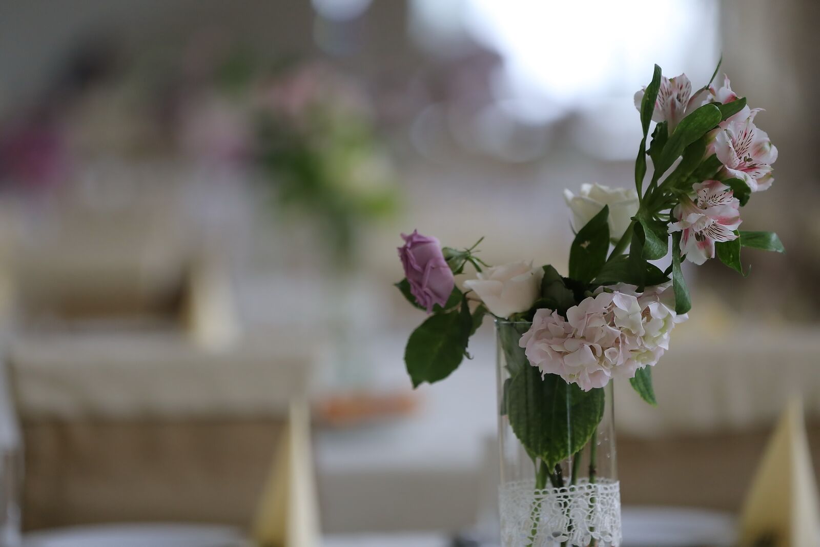 Canon EOS 6D sample photo. Vase, white flower, flower photography