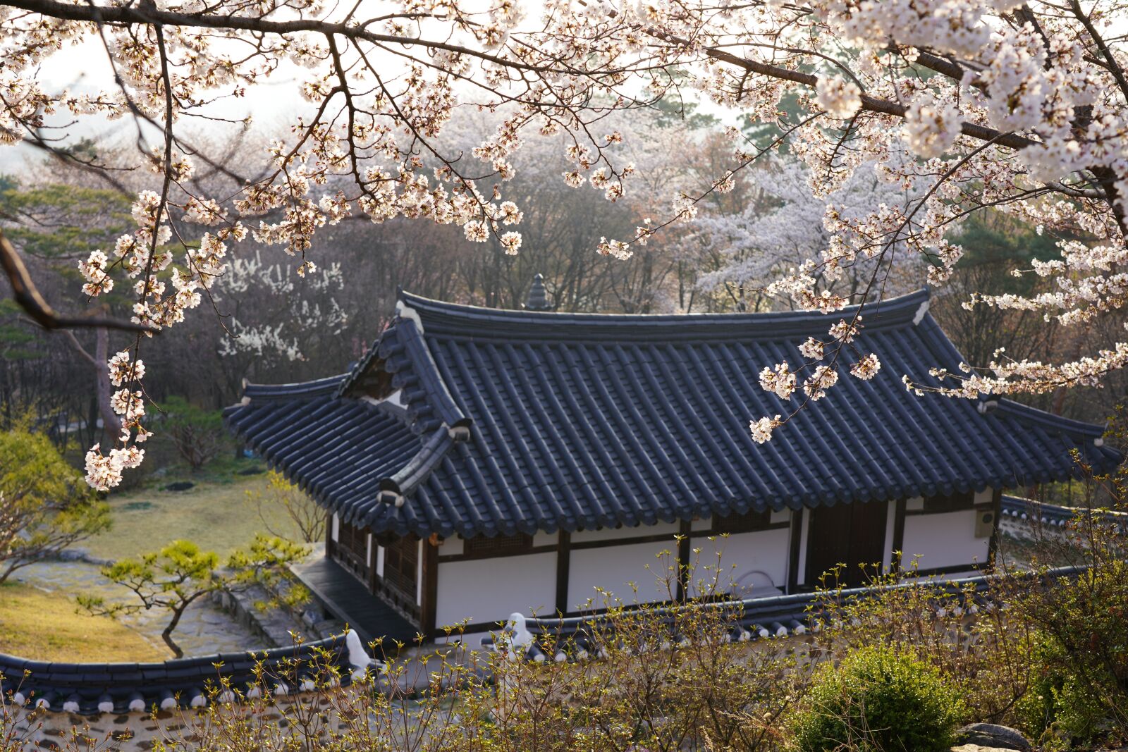 Sony a7R III sample photo. Korea, traditional house, traditional photography