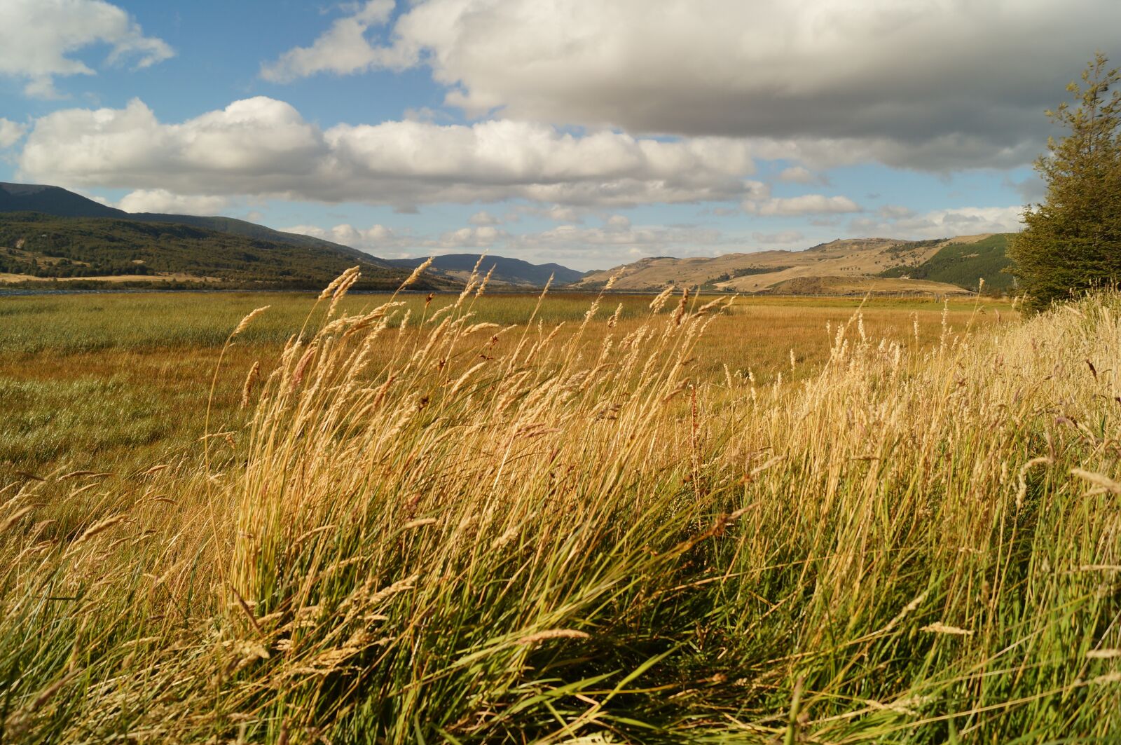 Sony SLT-A37 sample photo. Landscape, patagonia, chilean patagonia photography