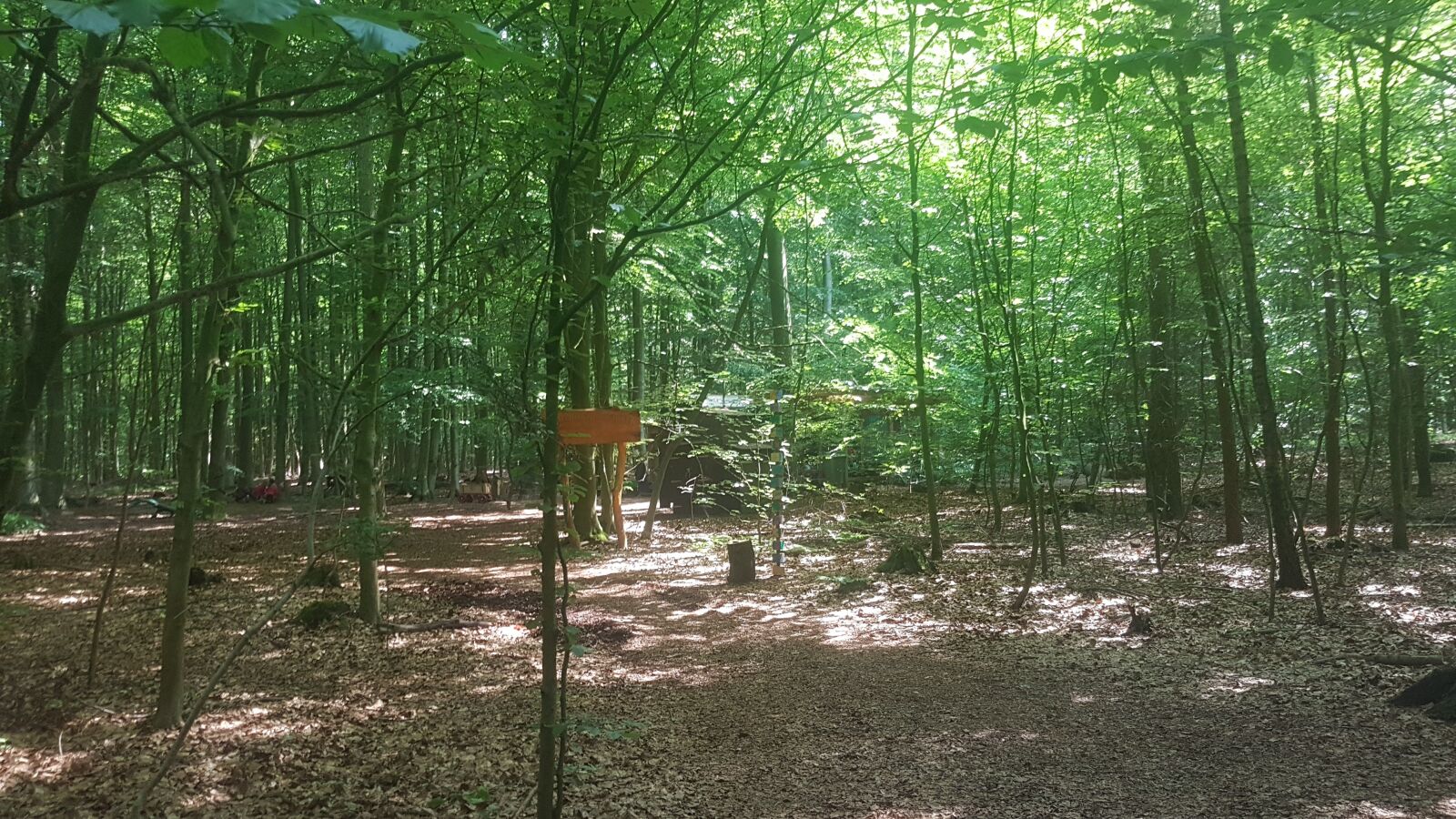 Samsung Galaxy S7 sample photo. Germany, outdoors, forest kindergarten photography