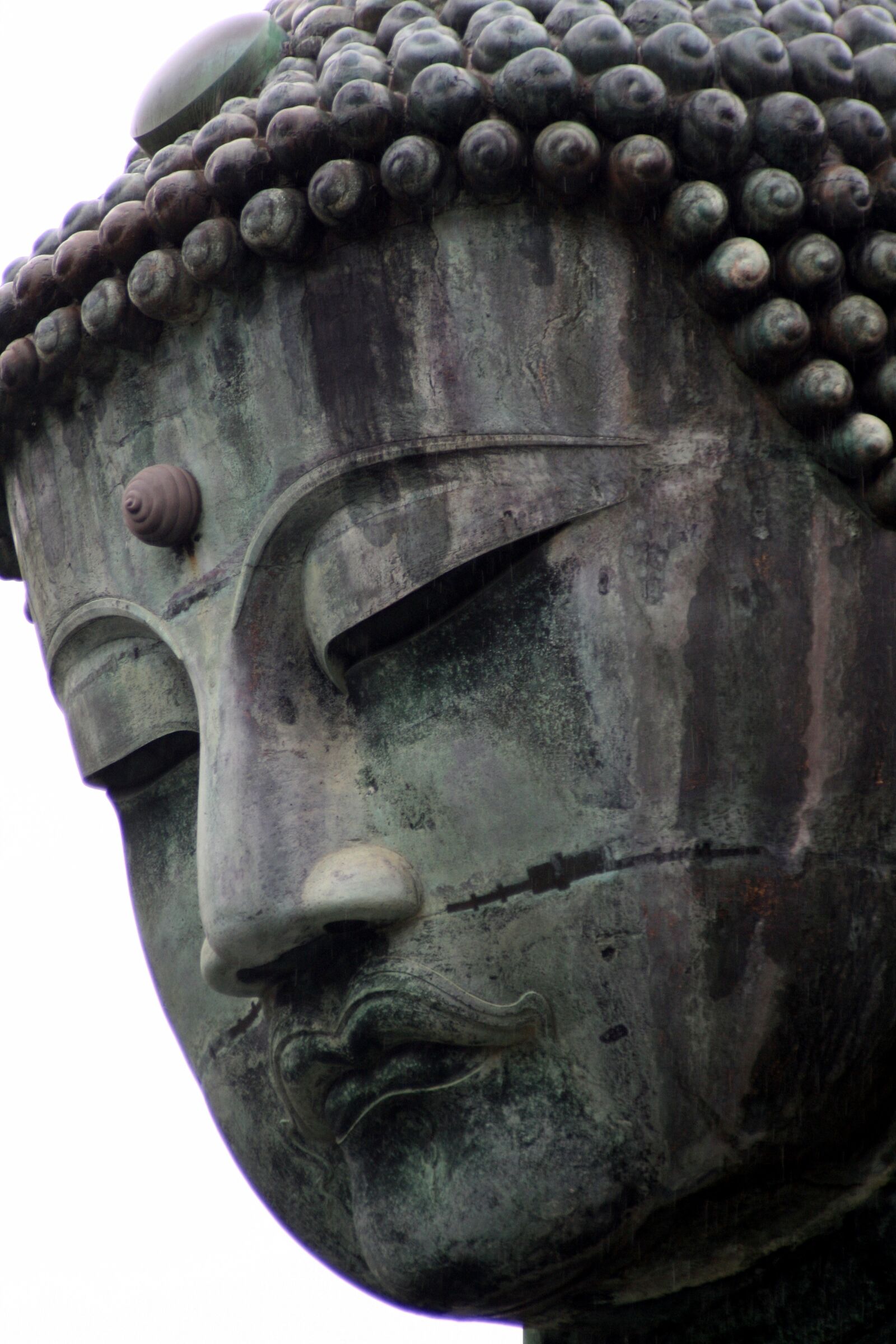 Canon EOS 400D (EOS Digital Rebel XTi / EOS Kiss Digital X) sample photo. Japan, kamakura, buddha photography