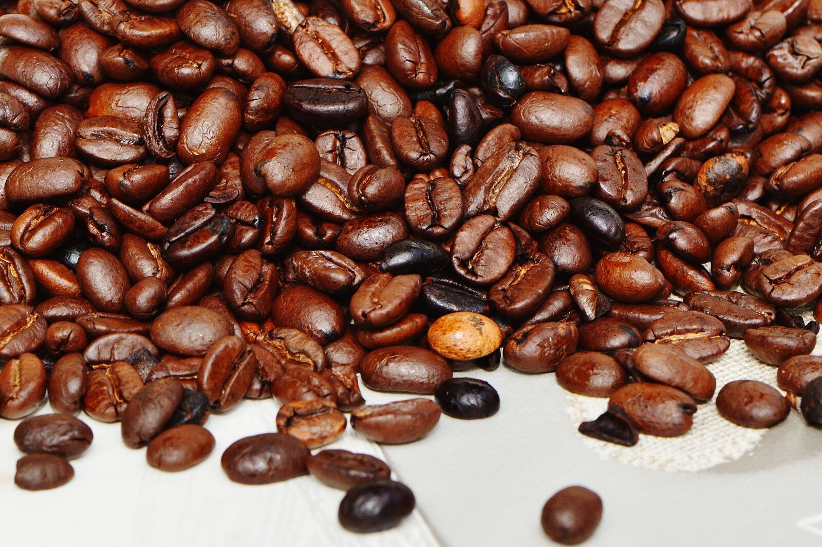 Nikon D3200 sample photo. Coffee, coffee beans, cafe photography