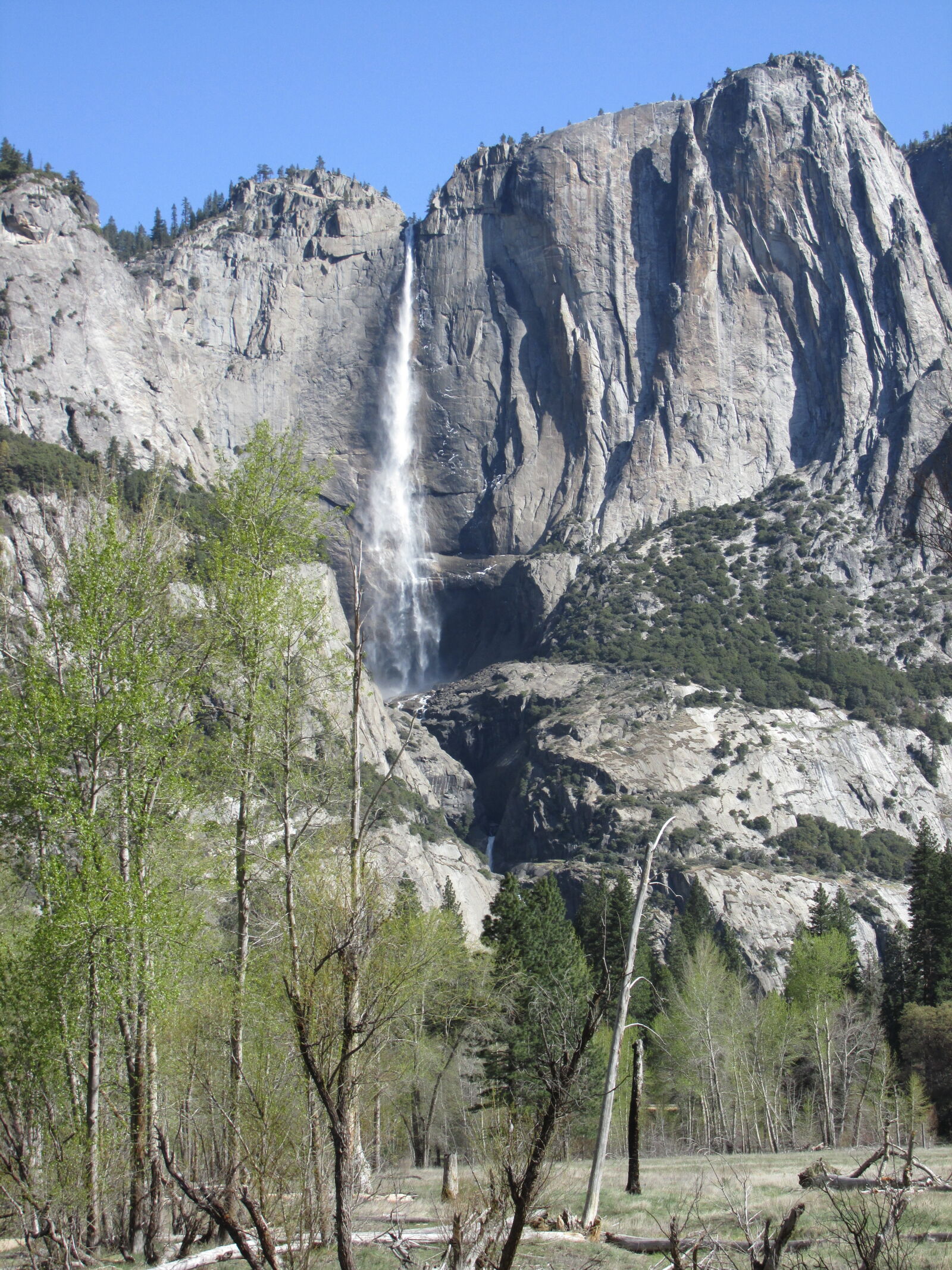 Canon PowerShot SX170 IS sample photo. Yosemite, falls photography