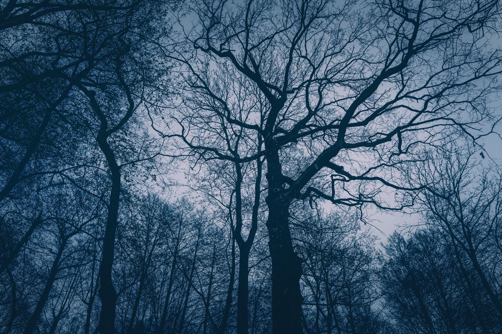 Nikon Z6 sample photo. Evening, twilight, dusk photography