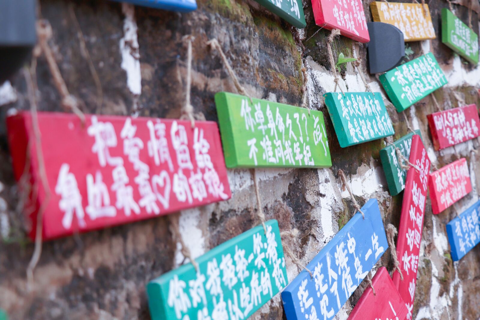 Canon EOS 77D (EOS 9000D / EOS 770D) sample photo. Wall, bar, street photography
