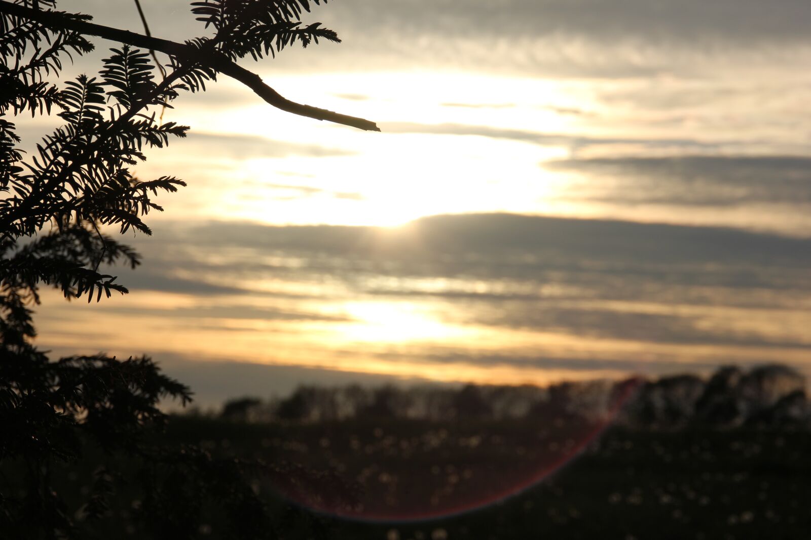 Canon EOS 550D (EOS Rebel T2i / EOS Kiss X4) sample photo. Sunset, oberharz, mood photography