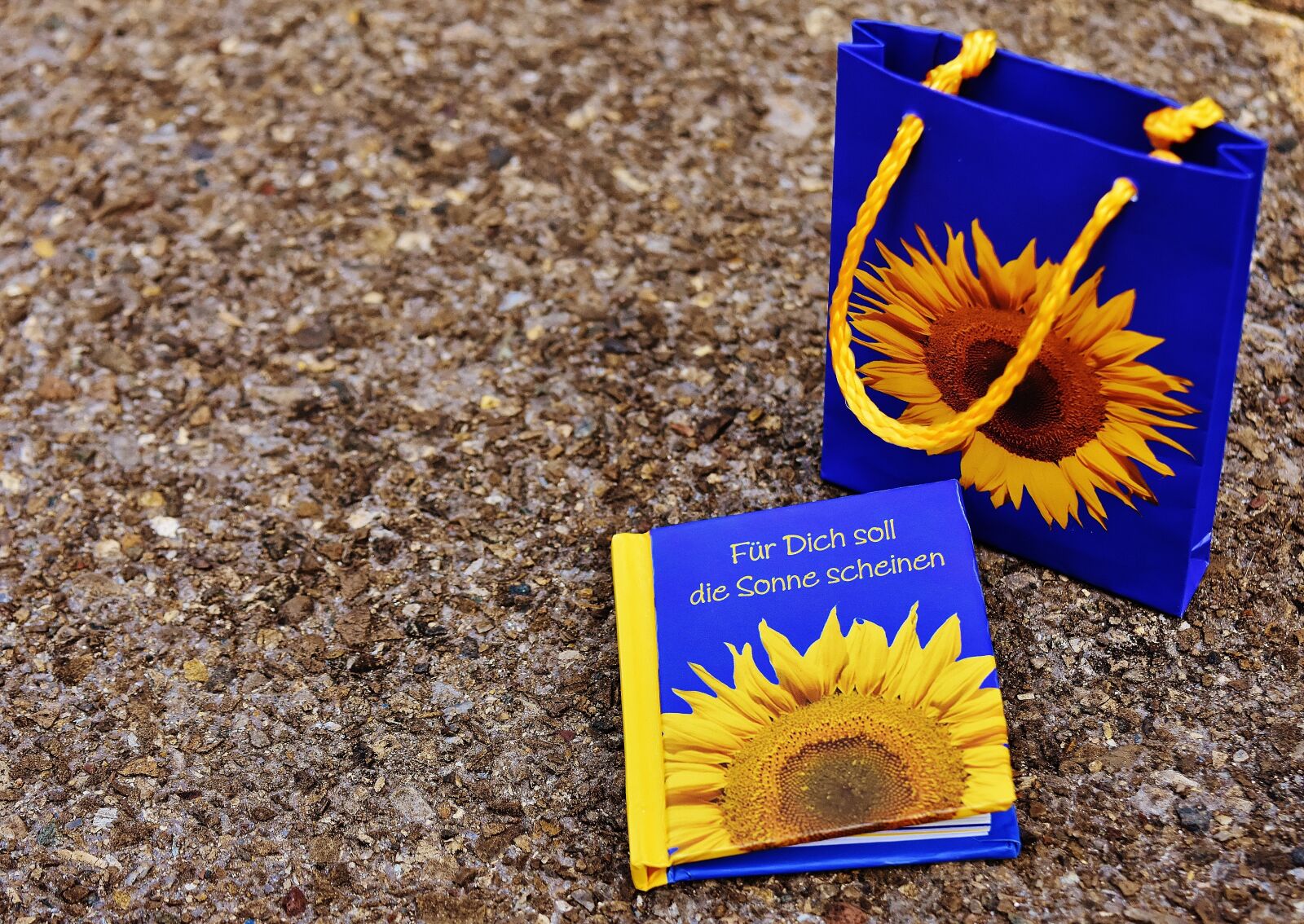 Nikon D7200 sample photo. Book, greeting card, rather photography