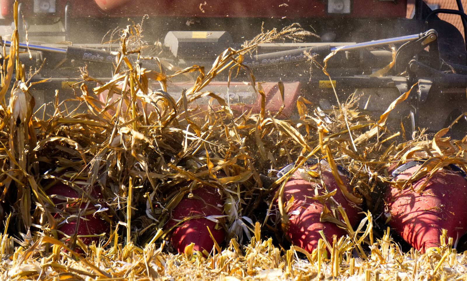 Sony a6000 sample photo. Corn, harvest, combine harvester photography