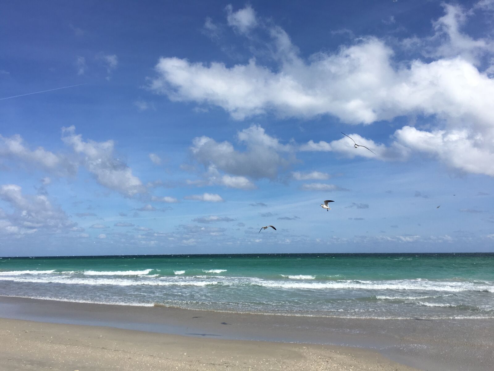 Apple iPhone 6s sample photo. Beach, beach life, florida photography
