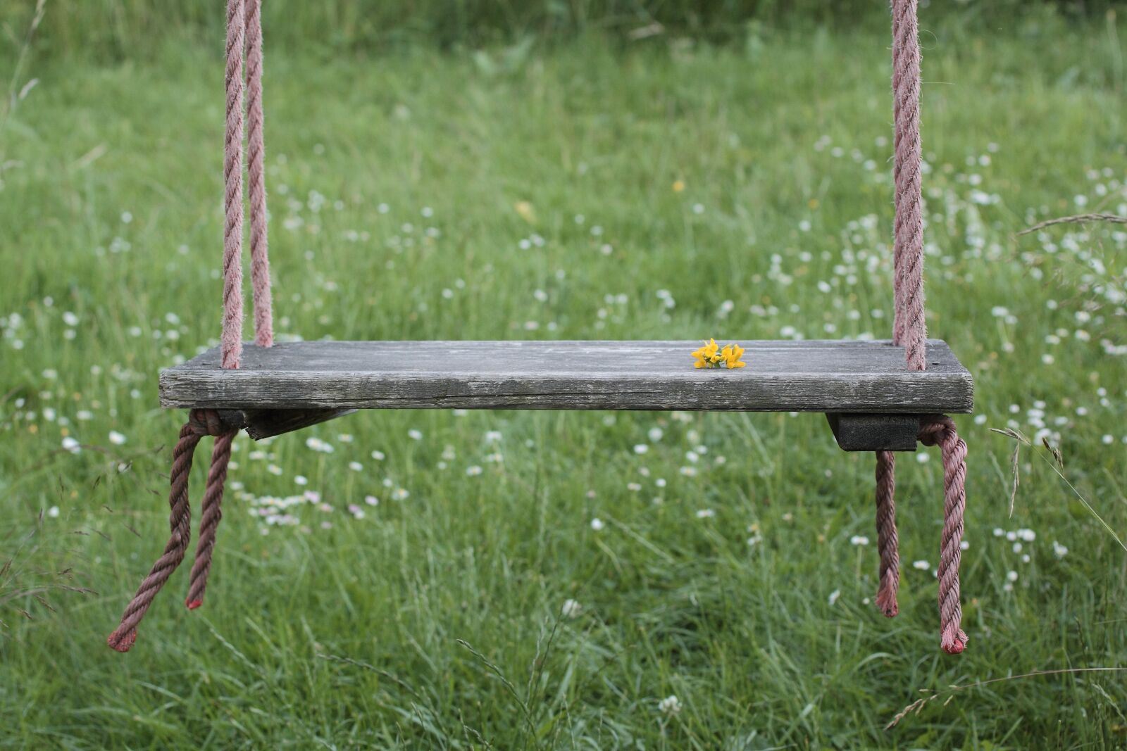 Canon EOS 50D sample photo. Swing, game device, playground photography