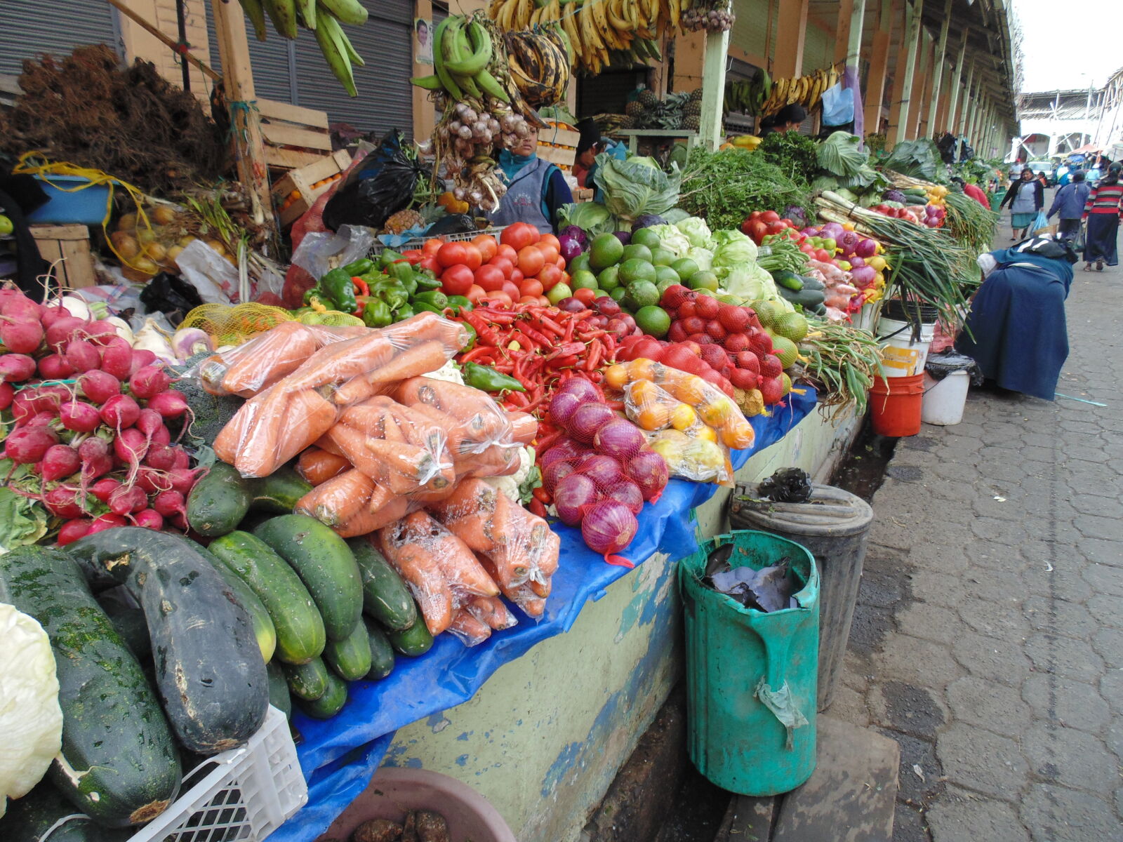 Sony Cyber-shot DSC-H200 sample photo. Fresh, vegetables, vegetable, market photography