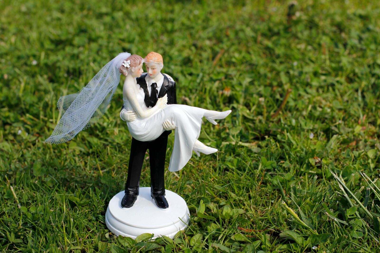 Canon EOS 60D + Canon EF 50mm F1.4 USM sample photo. Bride and groom, veil photography