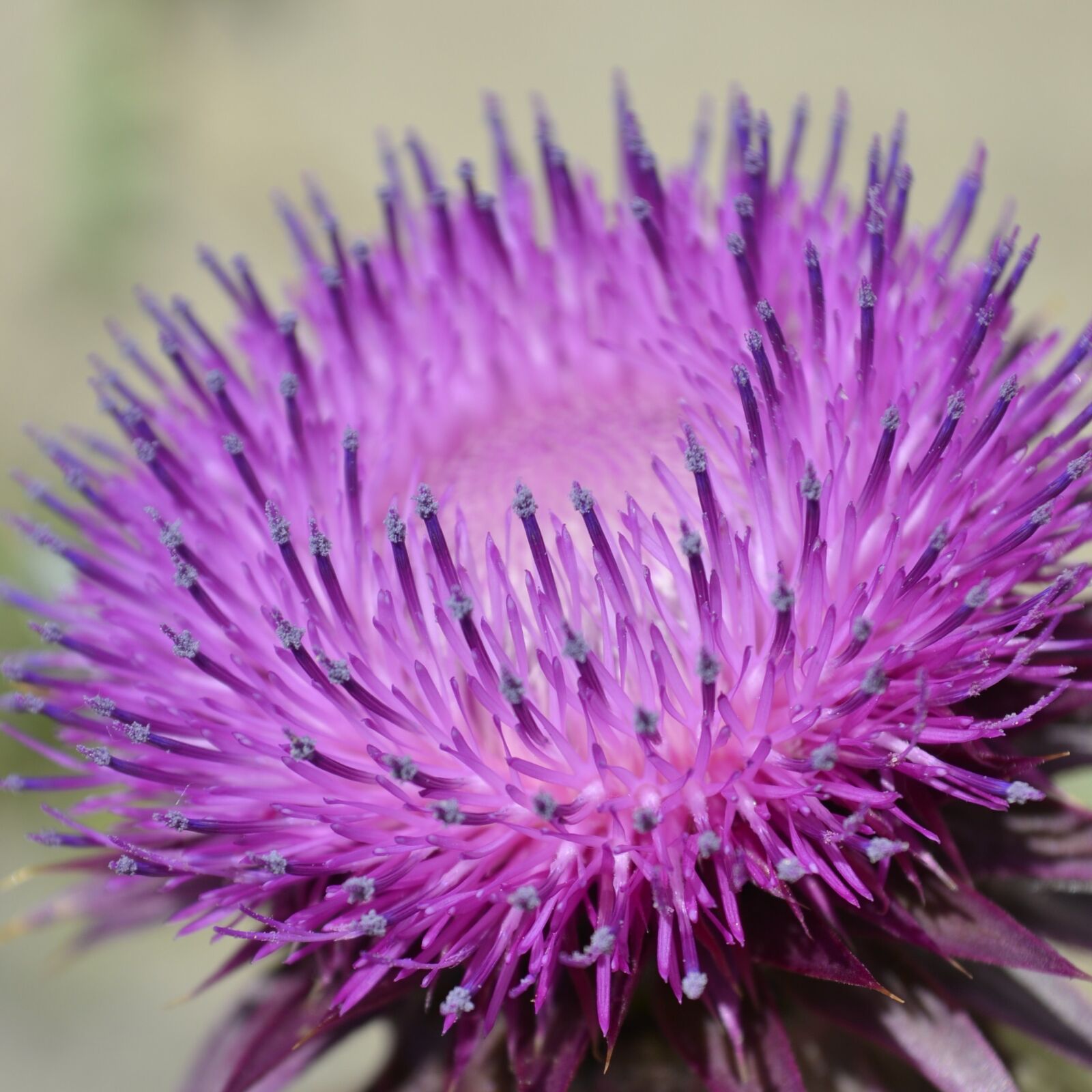 Nikon D3100 sample photo. Szam rk r photography