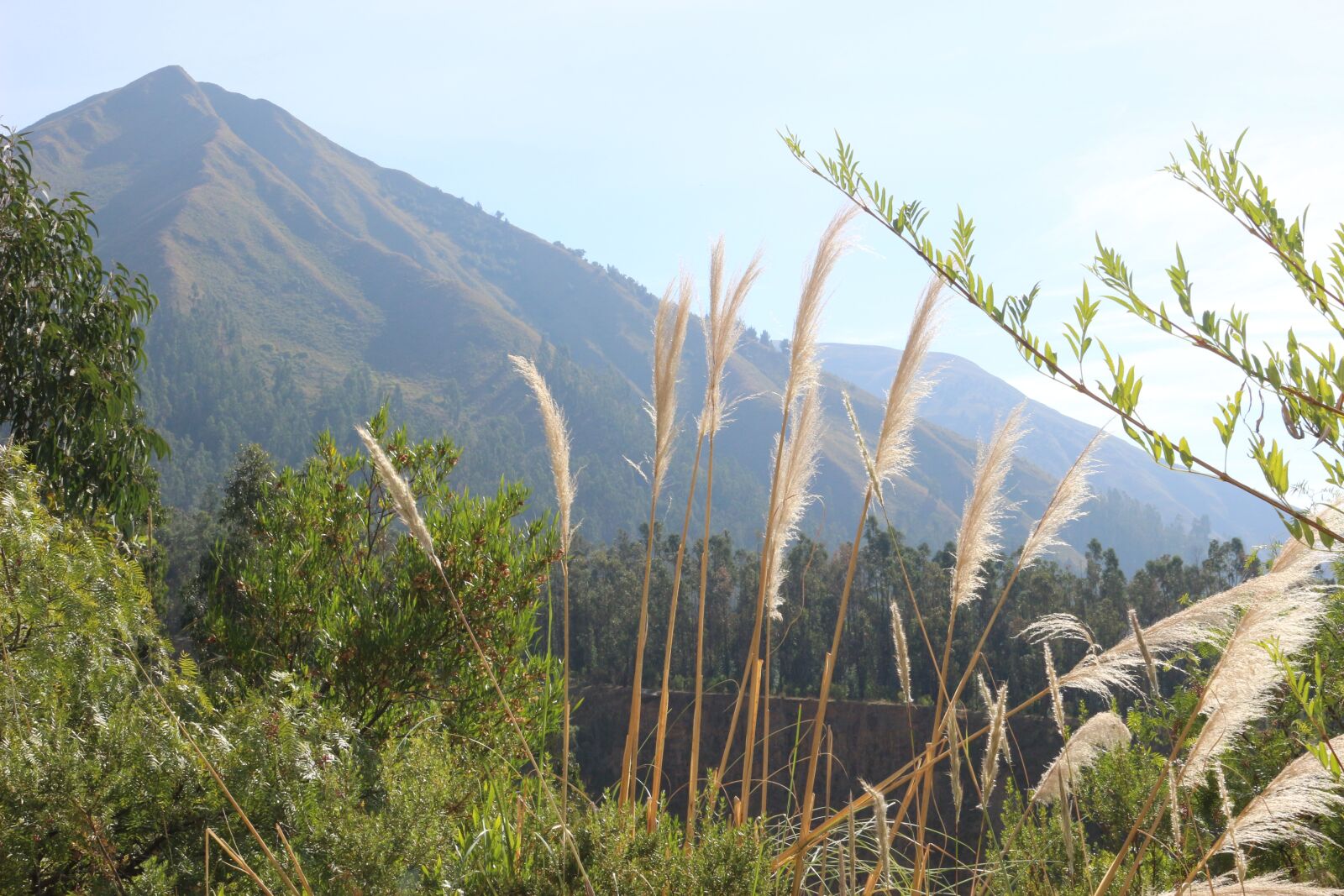 Canon EOS 100D (EOS Rebel SL1 / EOS Kiss X7) sample photo. Mountain, green, landscape photography