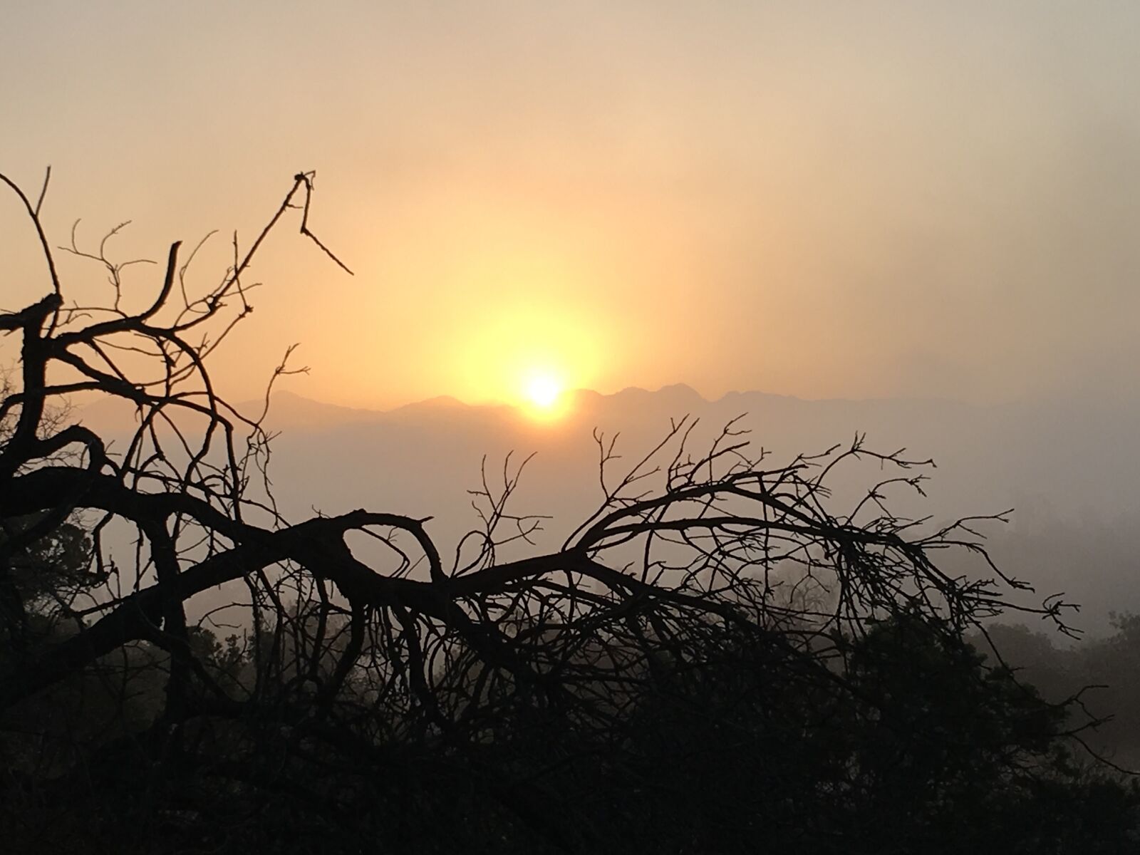 Apple iPhone 6s Plus sample photo. Sunrise, horizon, landscape photography
