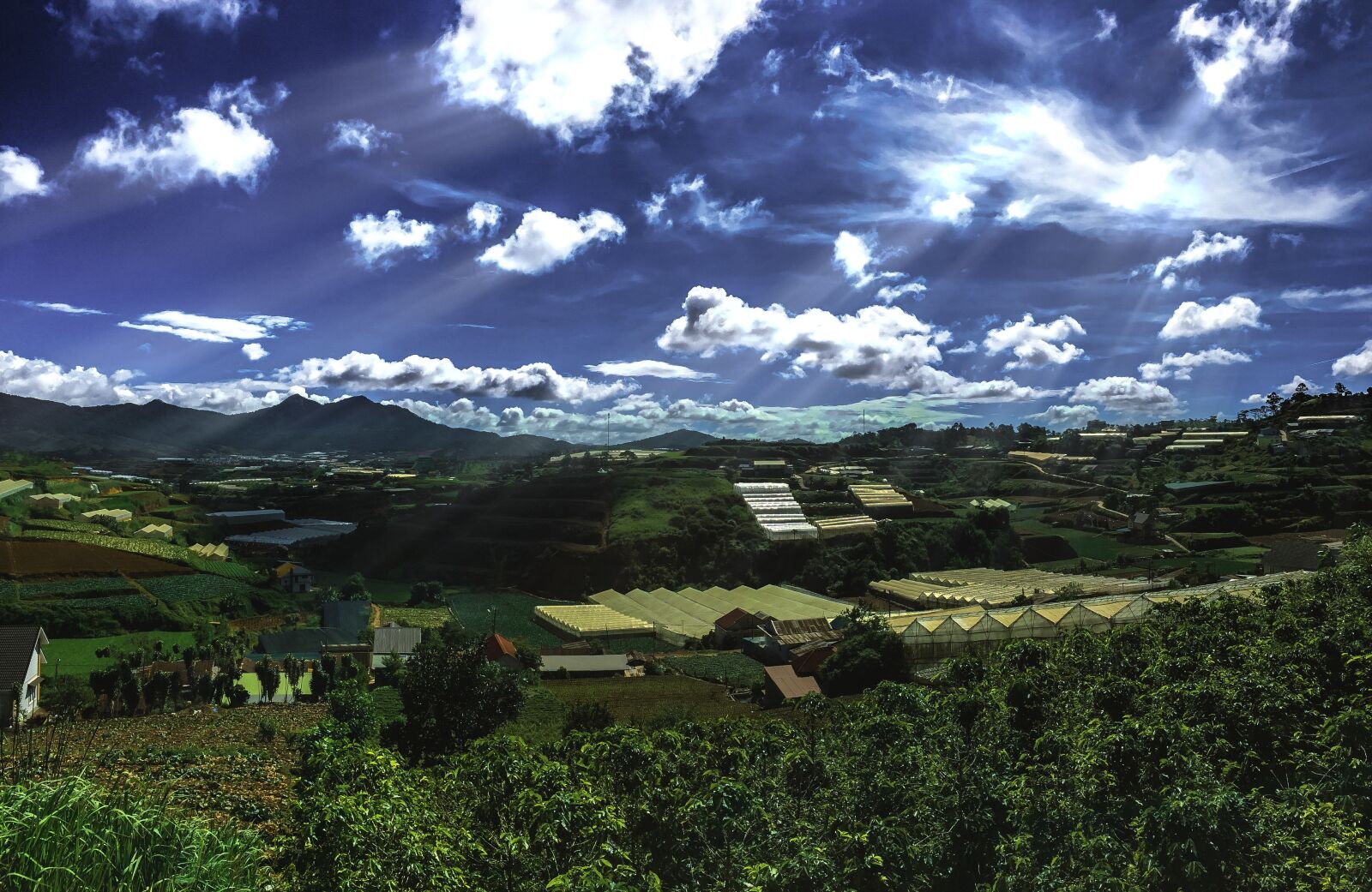 iPhone 5s back camera 4.15mm f/2.2 sample photo. Da lat, myfriendshoot, toolrays photography