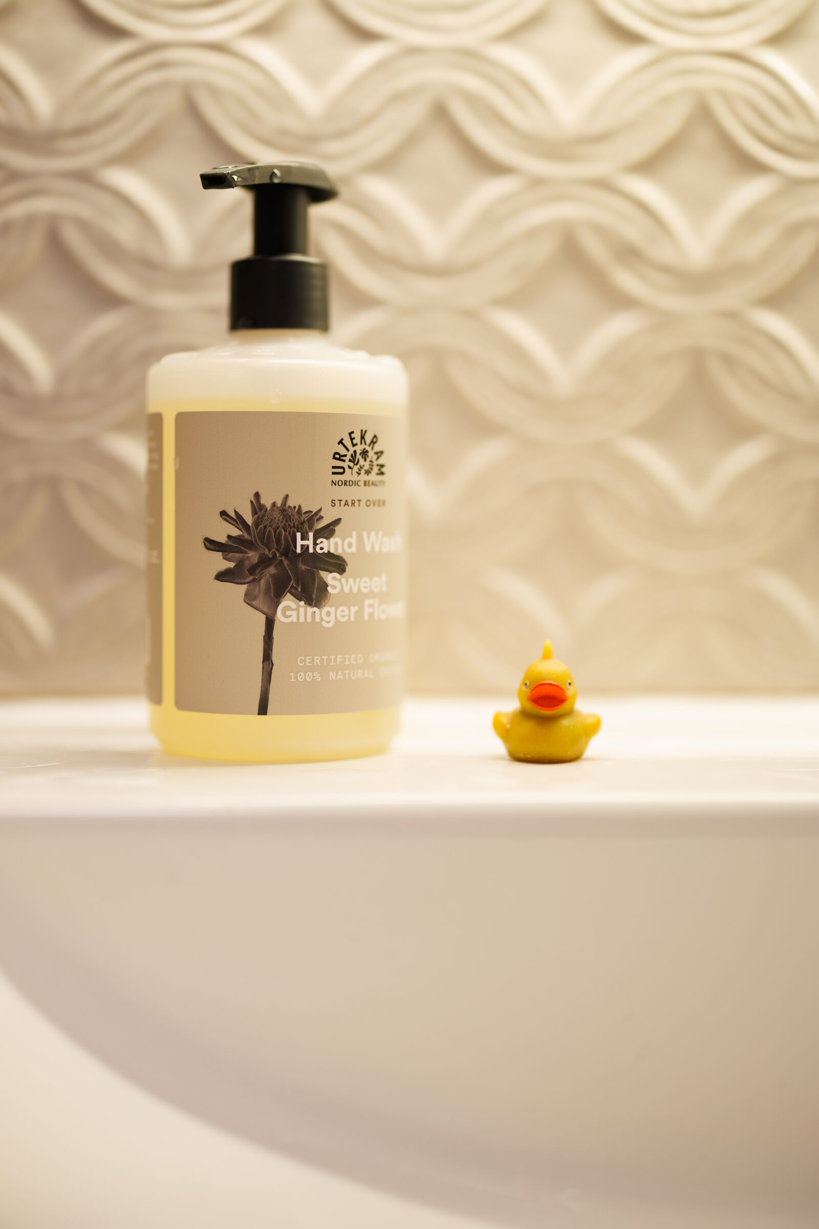 Canon EOS R6 II sample photo. Hand wash duck photography