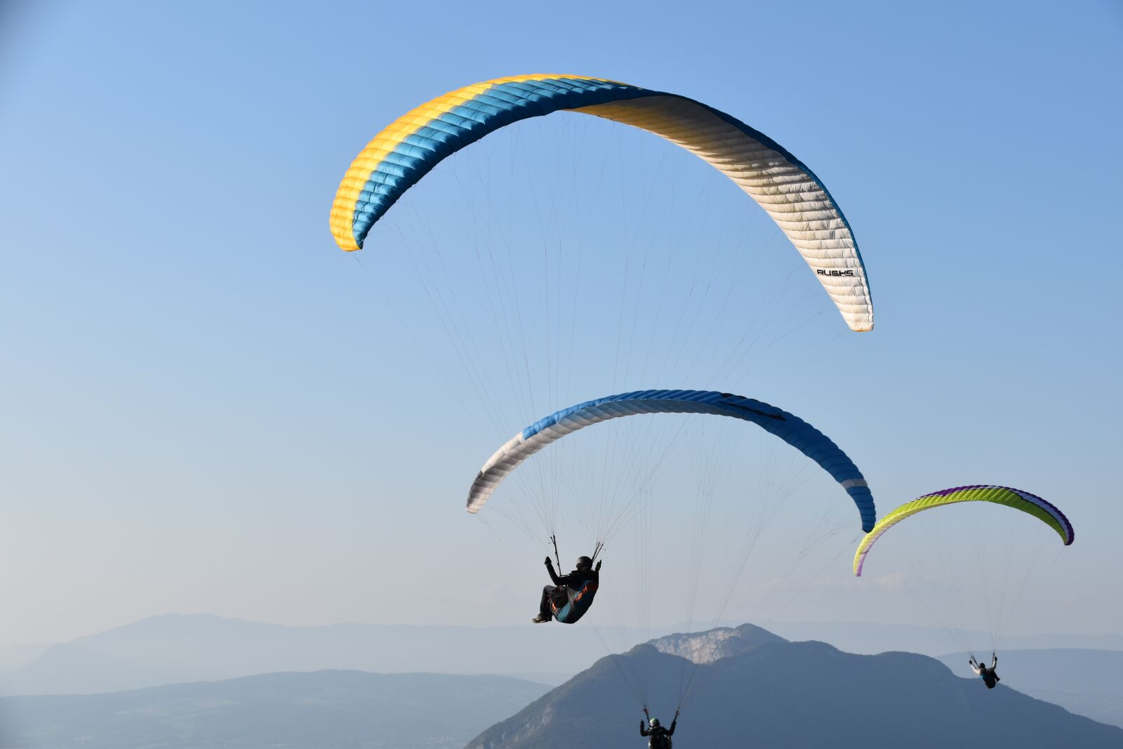 Nikon D5600 sample photo. Paragliders, sails, wings photography