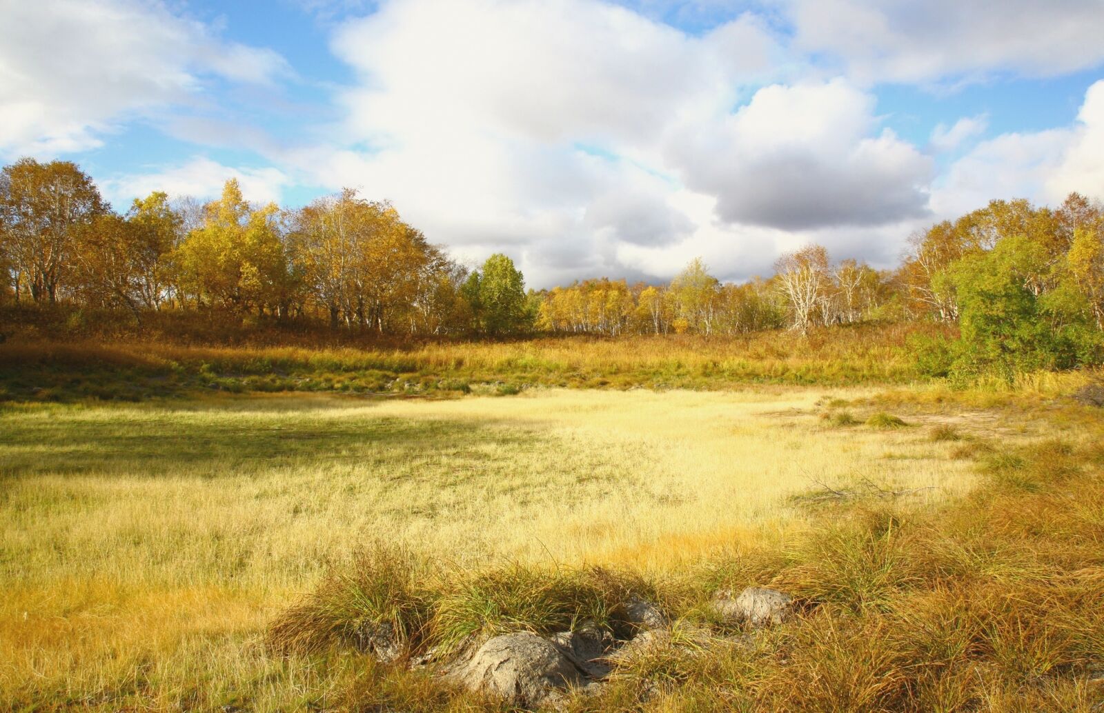 Canon EOS 5D sample photo. Swamp, tundra, grass photography