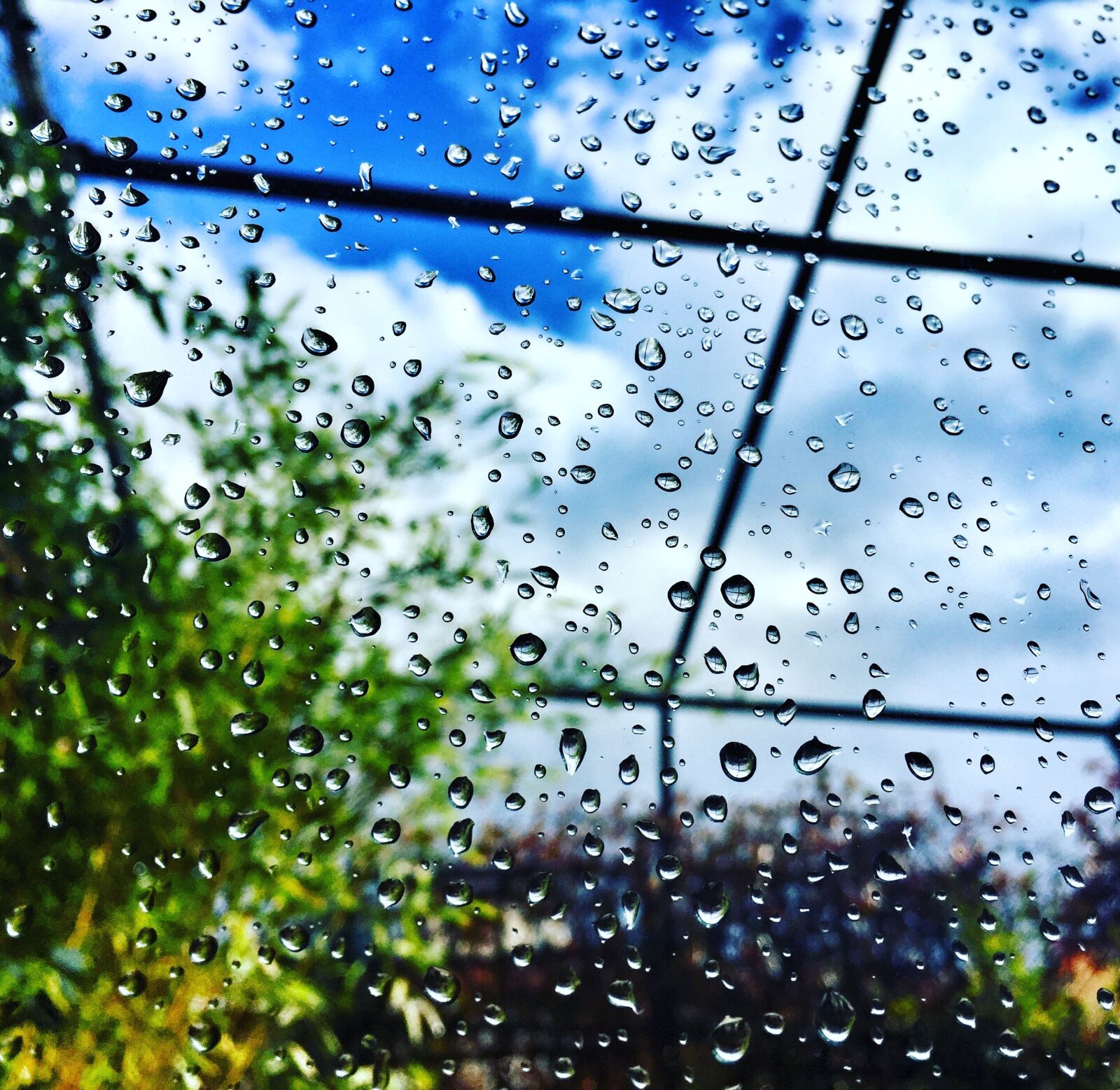 iPhone 6 back camera 4.15mm f/2.2 sample photo. Droplets, glass, glass, window photography