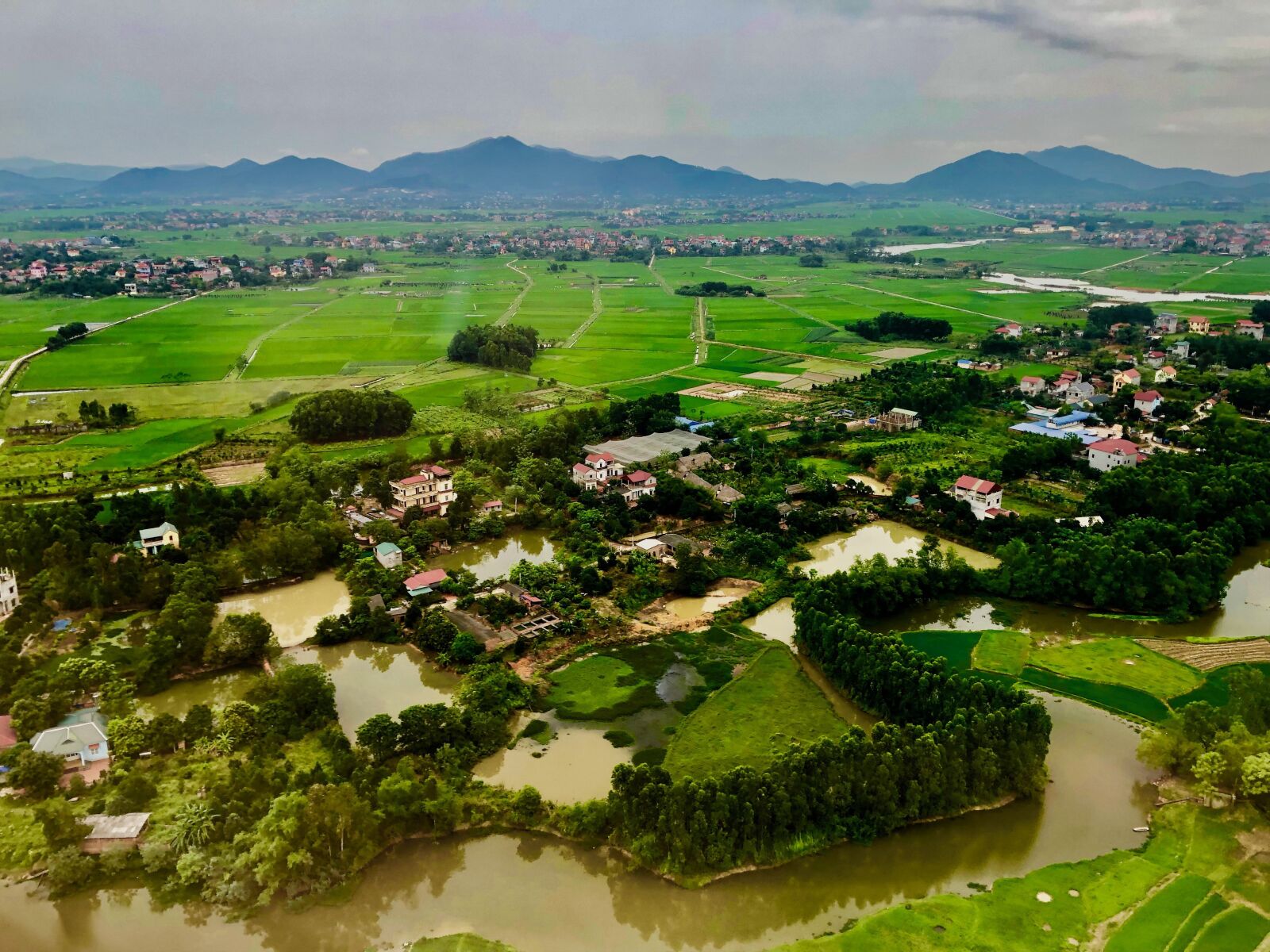 iPhone X back dual camera 4mm f/1.8 sample photo. Vietnam, farming, crops photography