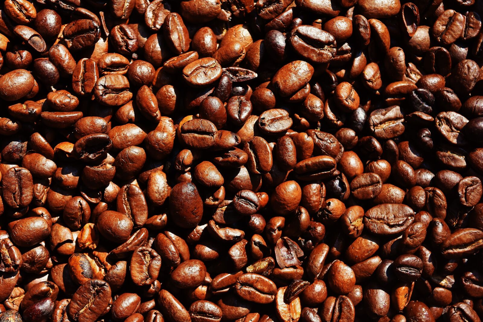 Nikon D7200 sample photo. Coffee, coffee beans, cafe photography