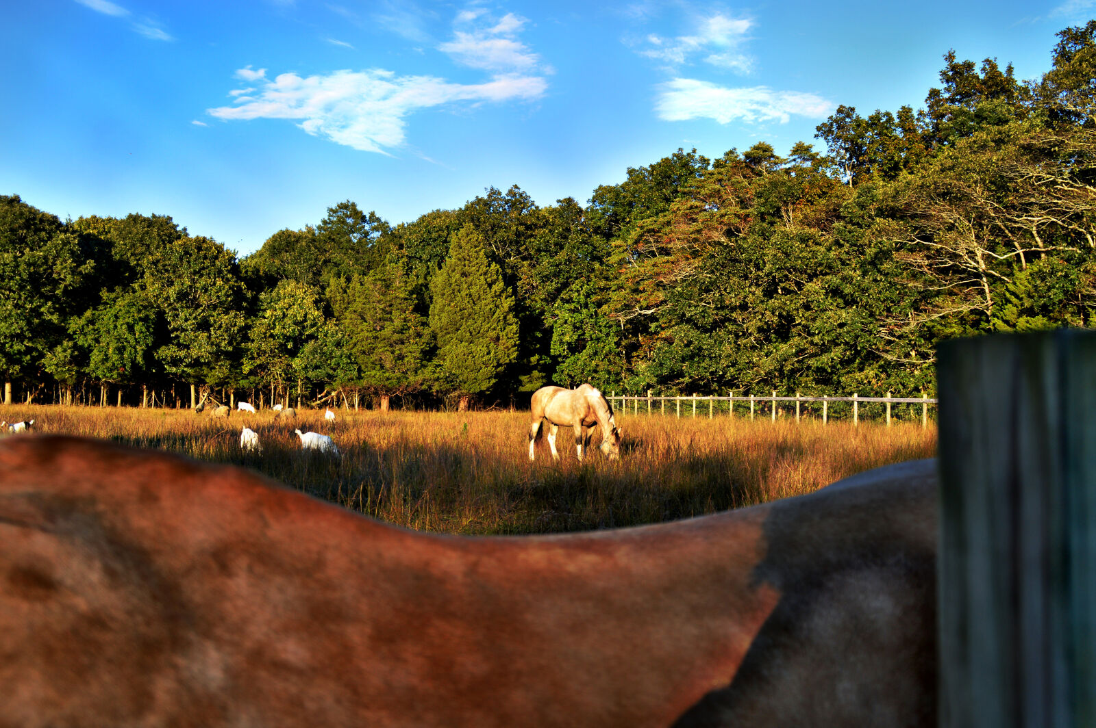 Nikon D3200 sample photo. Agriculture, countryside, farm, farmland photography