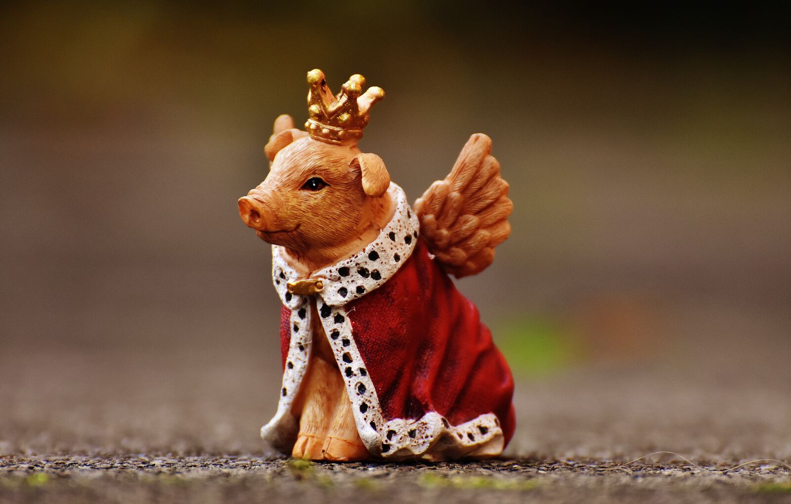 Nikon D7200 sample photo. Lucky pig, guardian angel photography