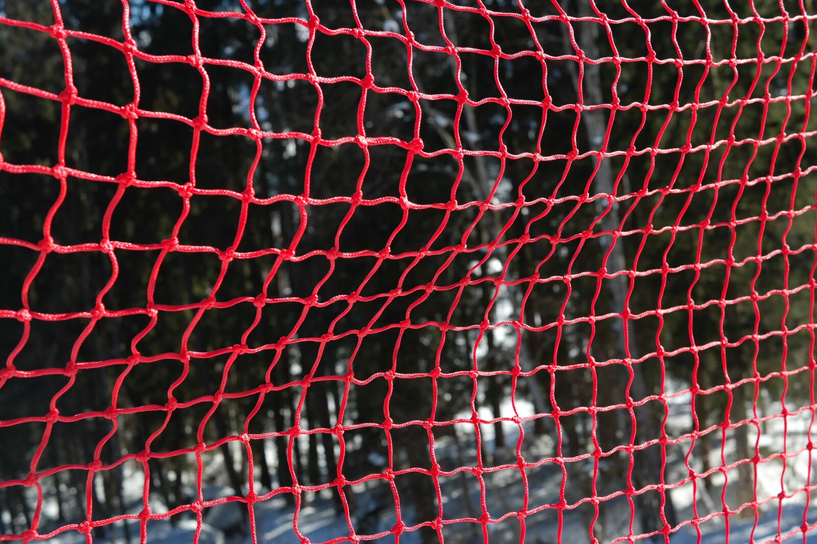 Samsung NX300 sample photo. Fence, grid, red photography