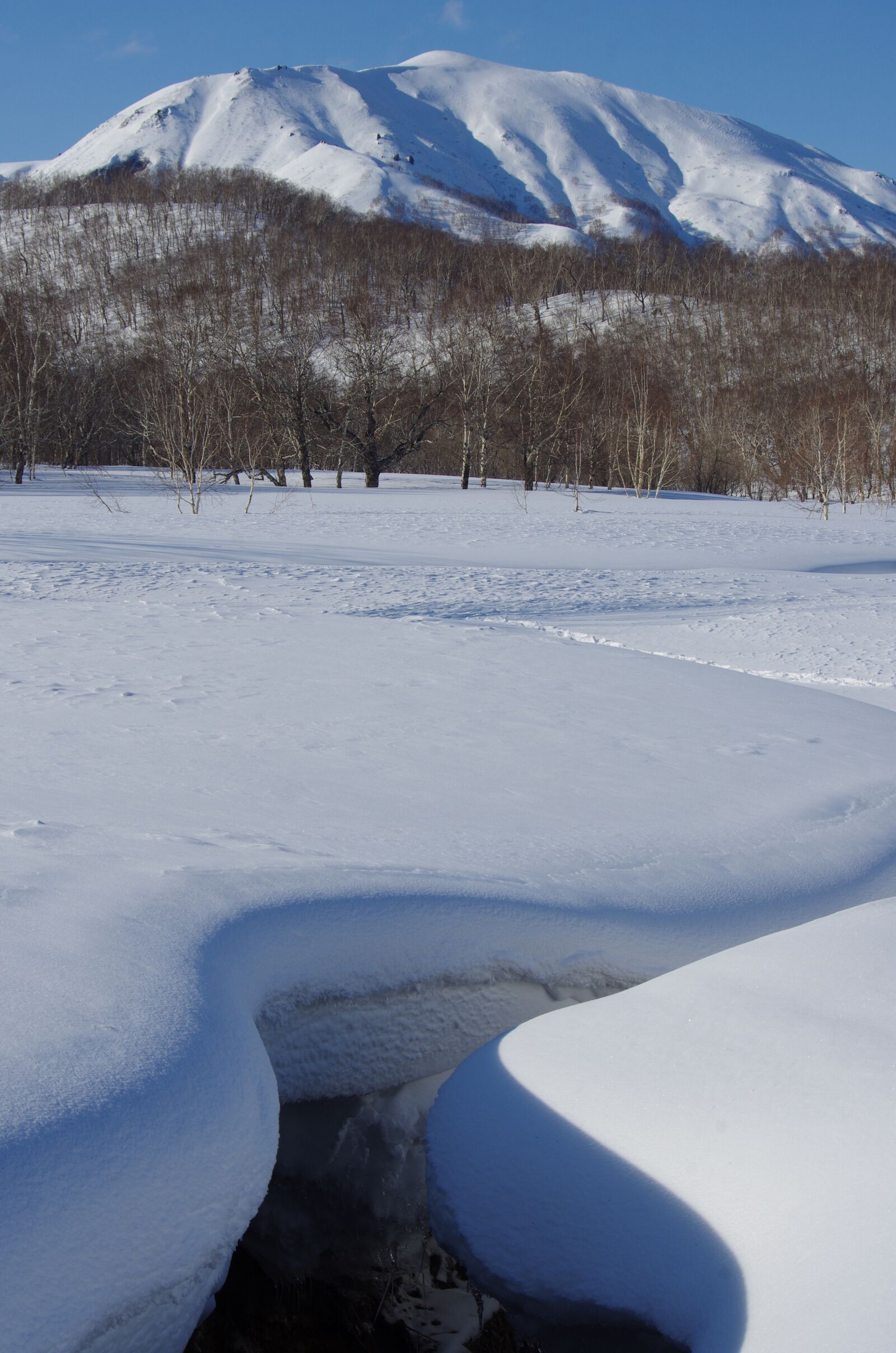 Pentax K-5 sample photo. Winter, snow, snowdrifts photography