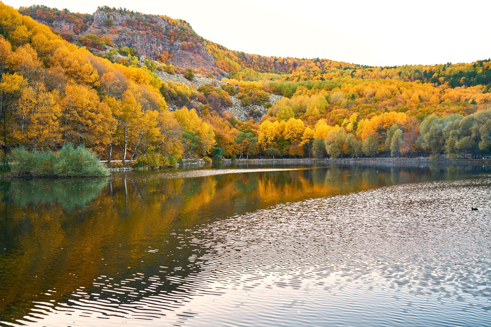 Sony a7R II sample photo. Autumn, trees, lake photography
