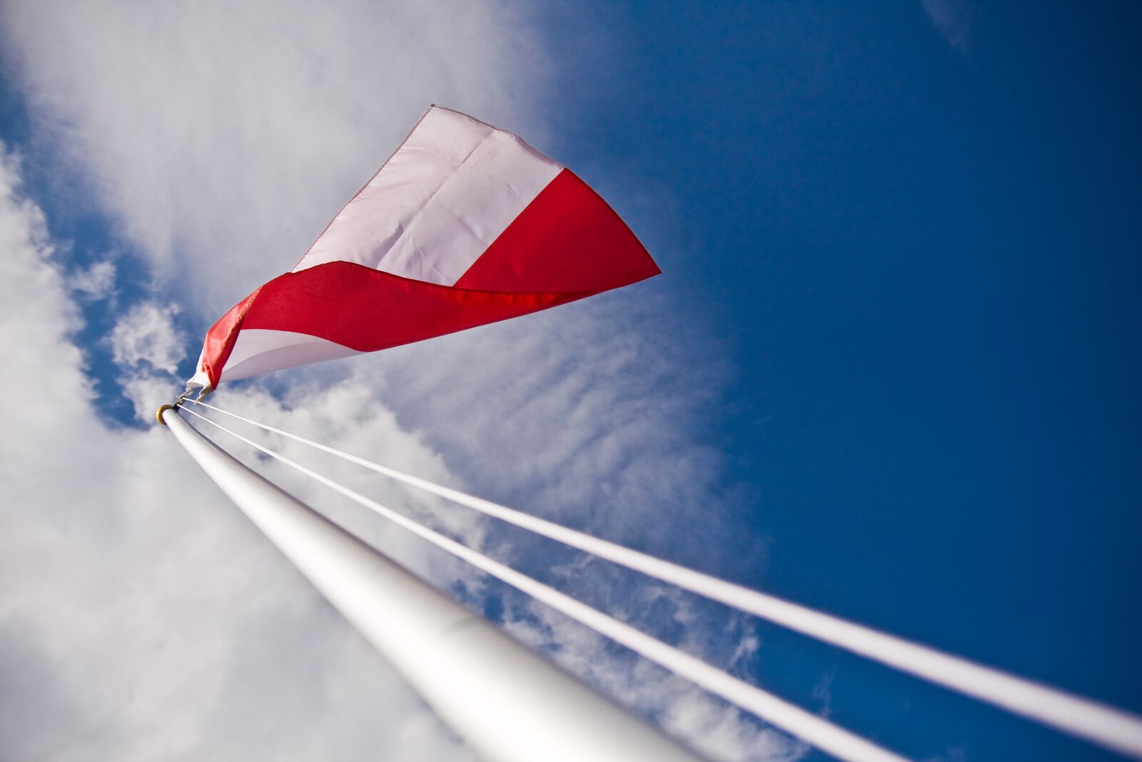 Canon EOS 40D sample photo. Polish flag, independence, the photography