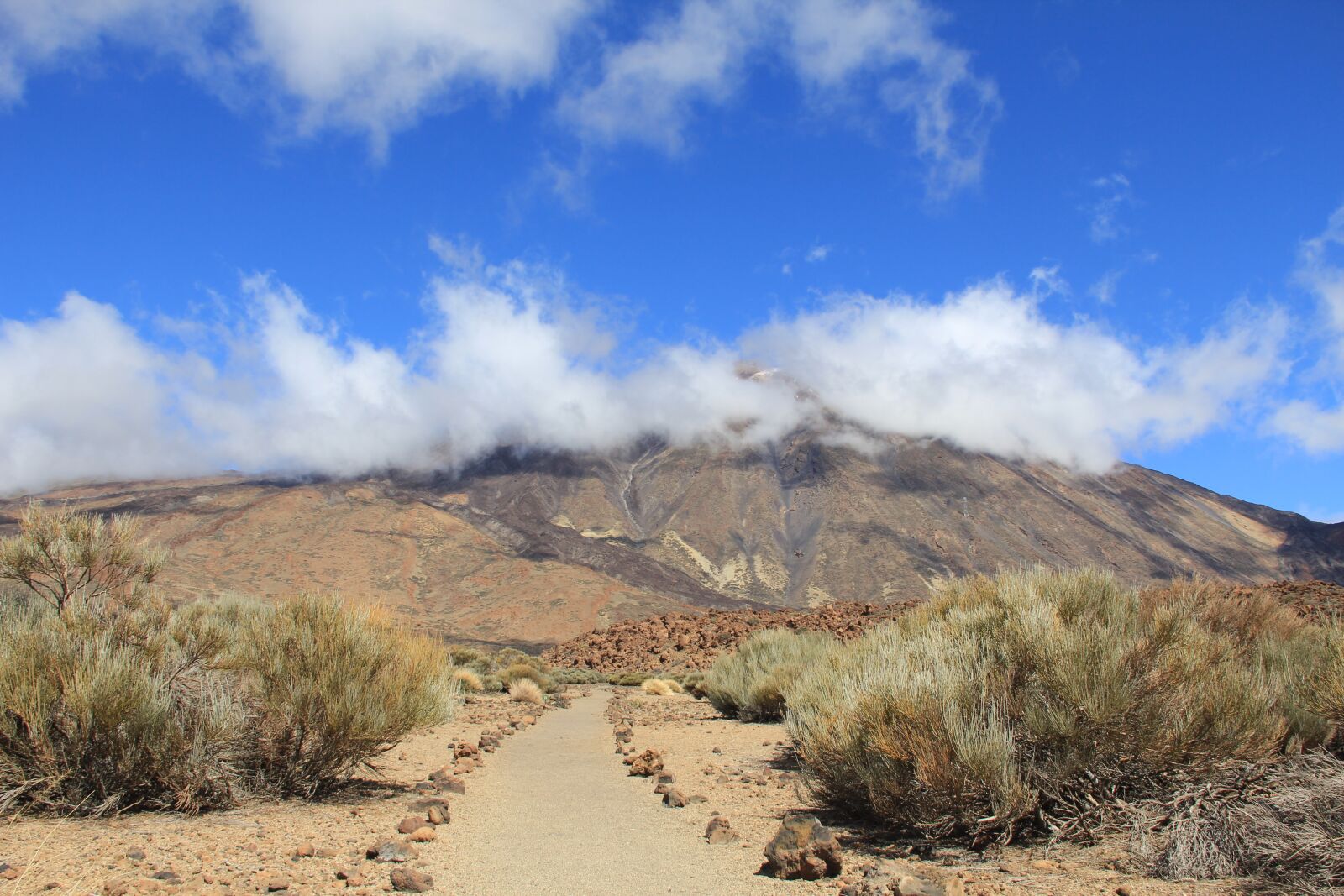 Canon EOS 550D (EOS Rebel T2i / EOS Kiss X4) sample photo. Tenerife, teide, volcano photography