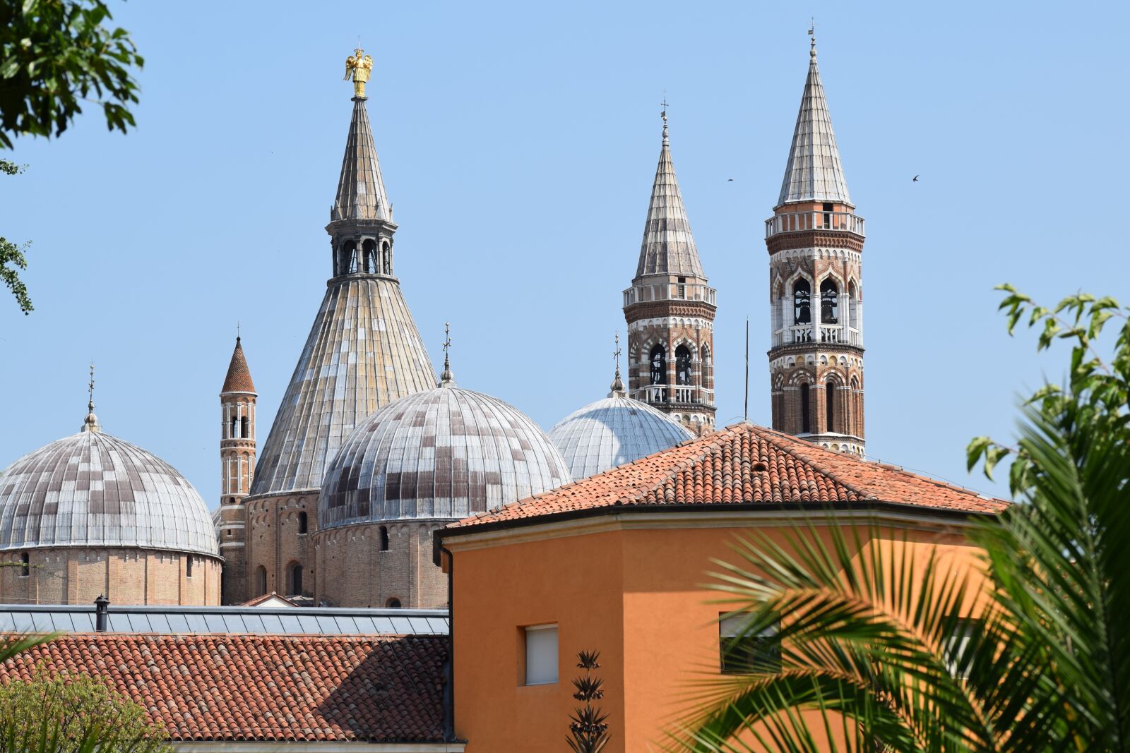 Nikon D3300 sample photo. Church, padova, catholic photography