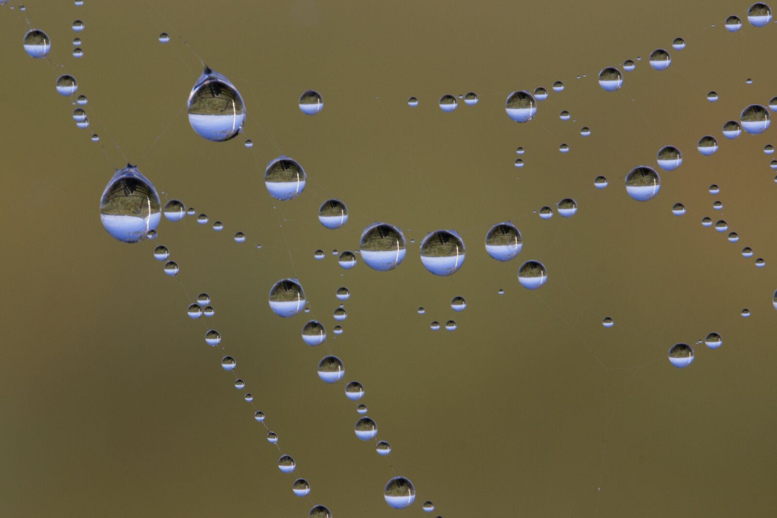 Canon EF 100mm F2.8L Macro IS USM sample photo. Drip, drop of water photography