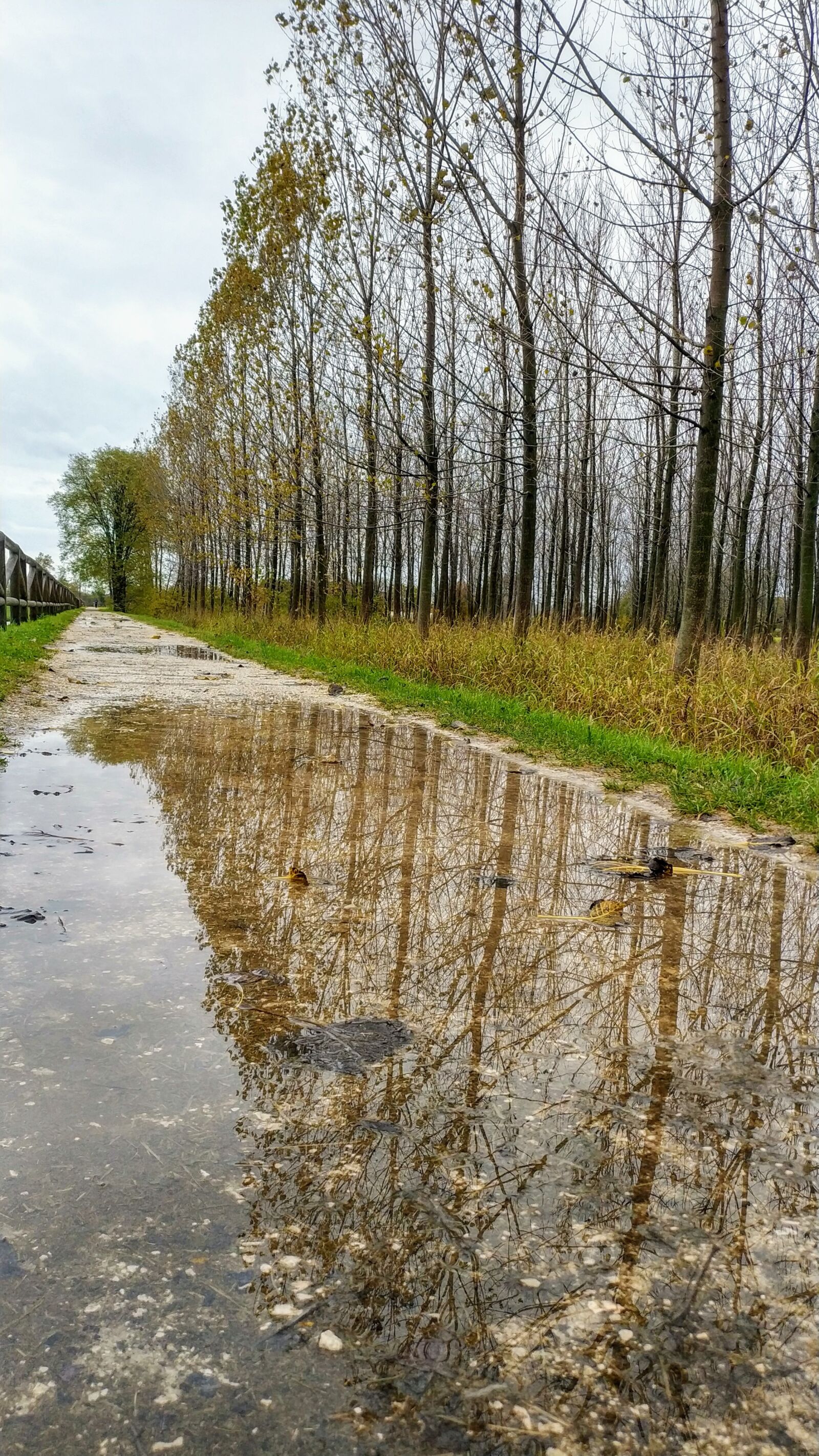 Xiaomi Mi MIX 2 sample photo. Autumn, rain, reflection photography