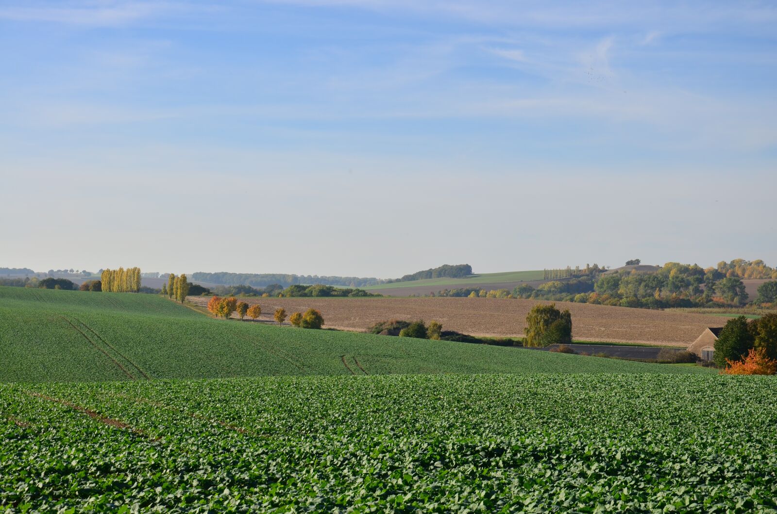 Nikon D5100 sample photo. Follow lommatzscher care, k photography