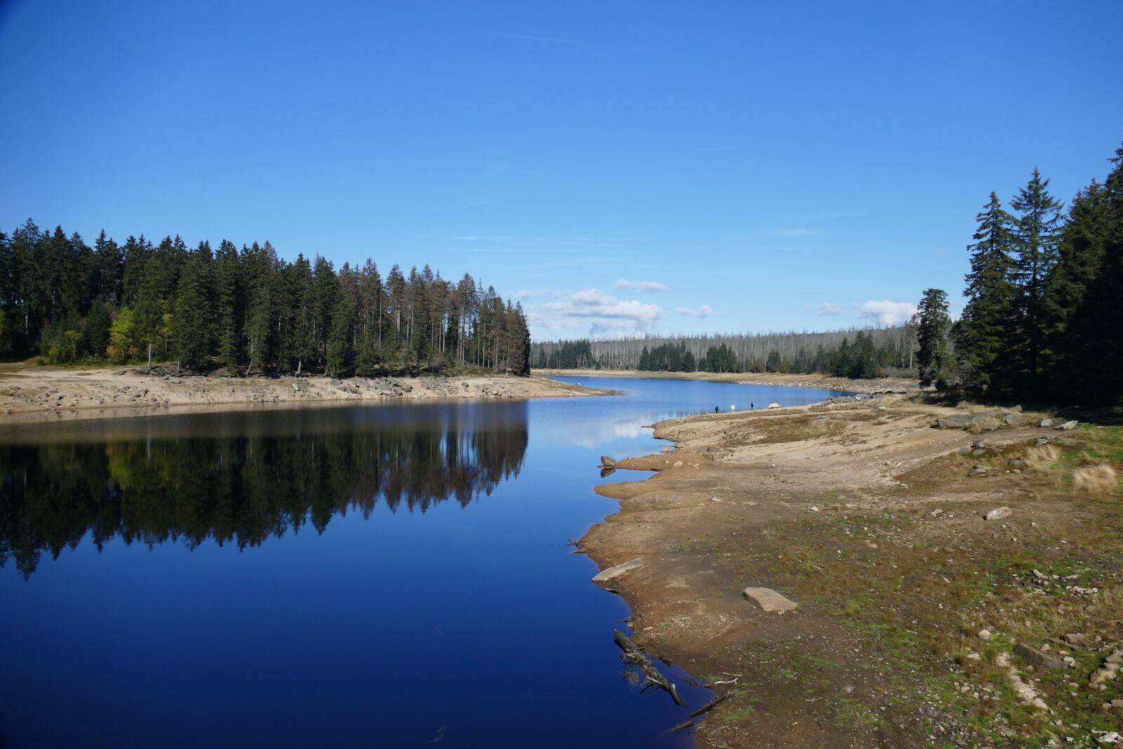 Panasonic Lumix DMC-FZ1000 sample photo. Or pond, dam, braunlage photography