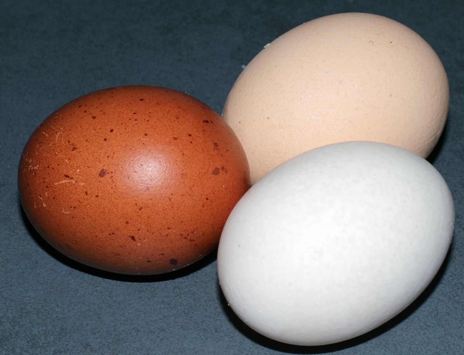 Canon EOS 600D (Rebel EOS T3i / EOS Kiss X5) + Canon EF 50mm F1.4 USM sample photo. Egg, hen's egg, color photography