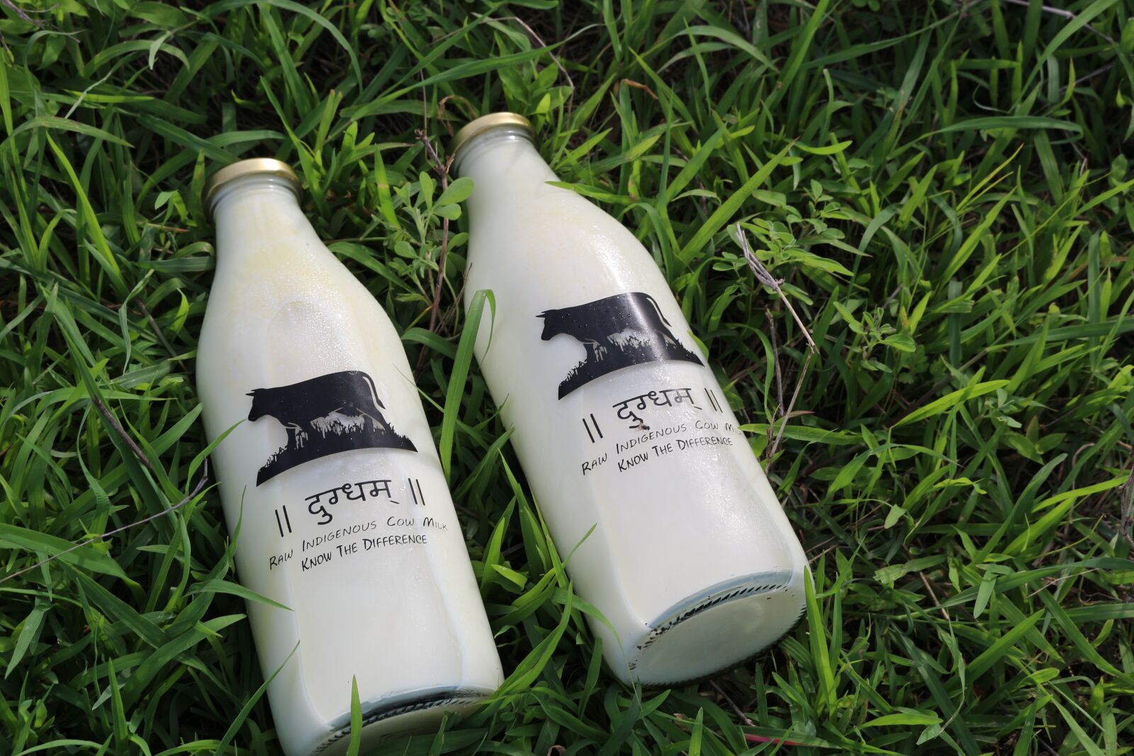 Canon EOS 700D (EOS Rebel T5i / EOS Kiss X7i) sample photo. Milk, glass bottle, glass photography