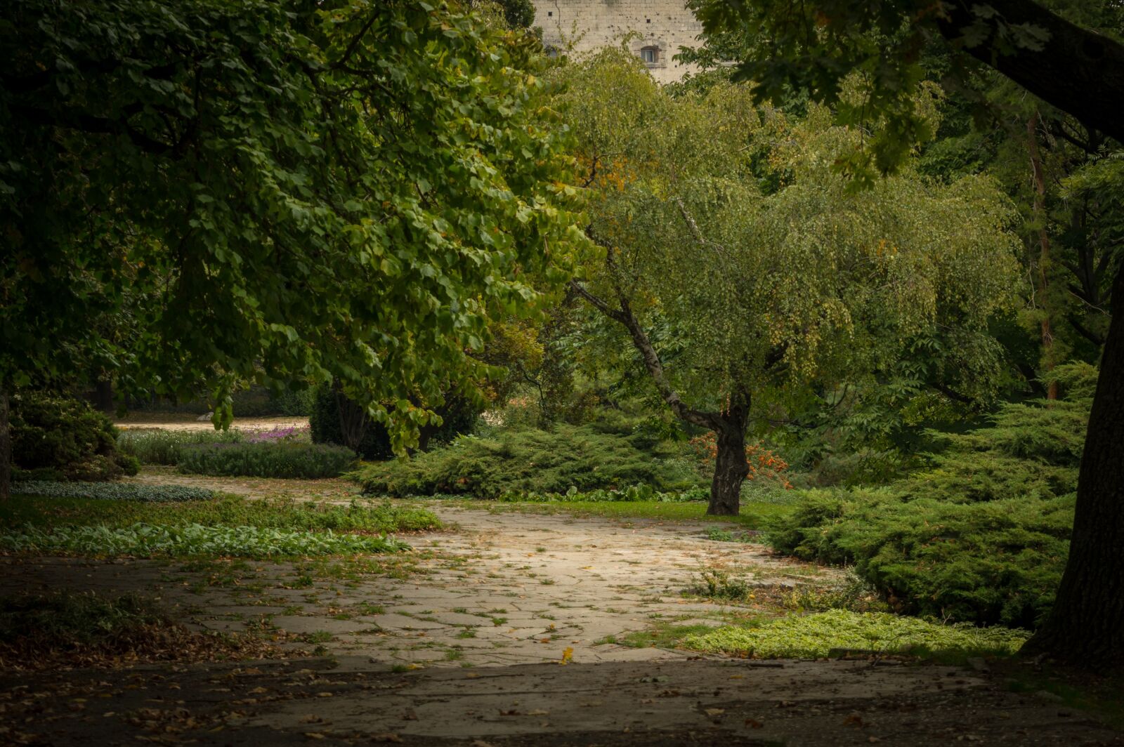 Nikon D3200 sample photo. Park, trees, green photography