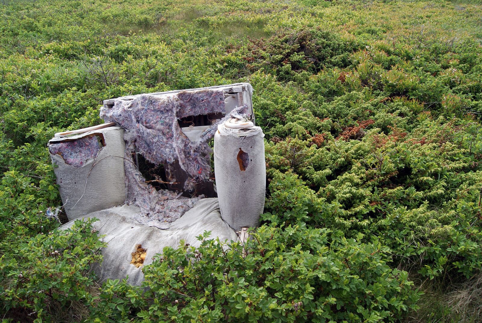 Sony Alpha DSLR-A230 sample photo. Discarded furniture, chair, old photography