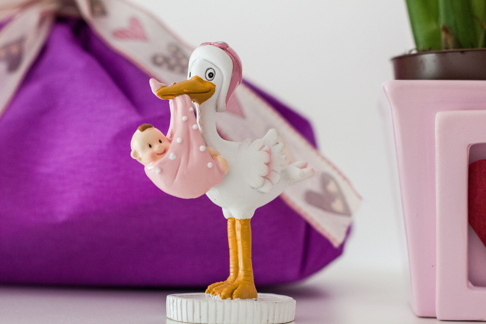 Canon EOS 550D (EOS Rebel T2i / EOS Kiss X4) sample photo. Stork, baby, birth photography