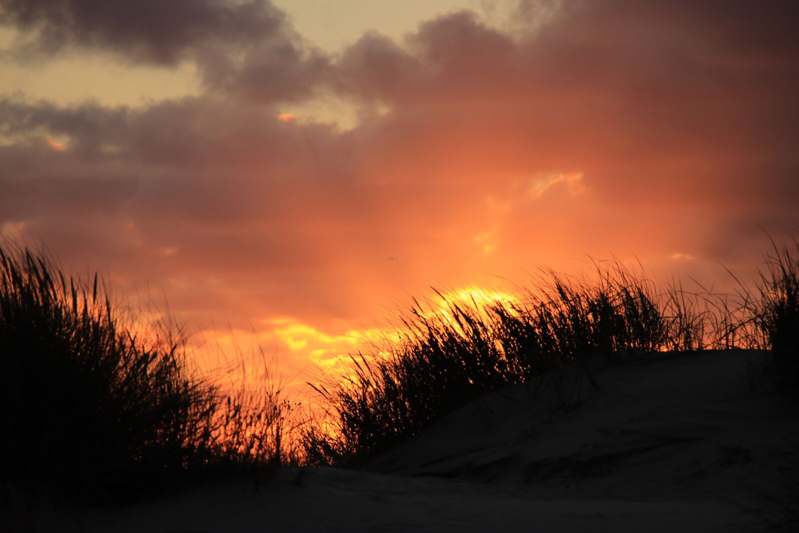Canon EF-S 18-135mm F3.5-5.6 IS USM sample photo. Sunset, romantic, bright photography