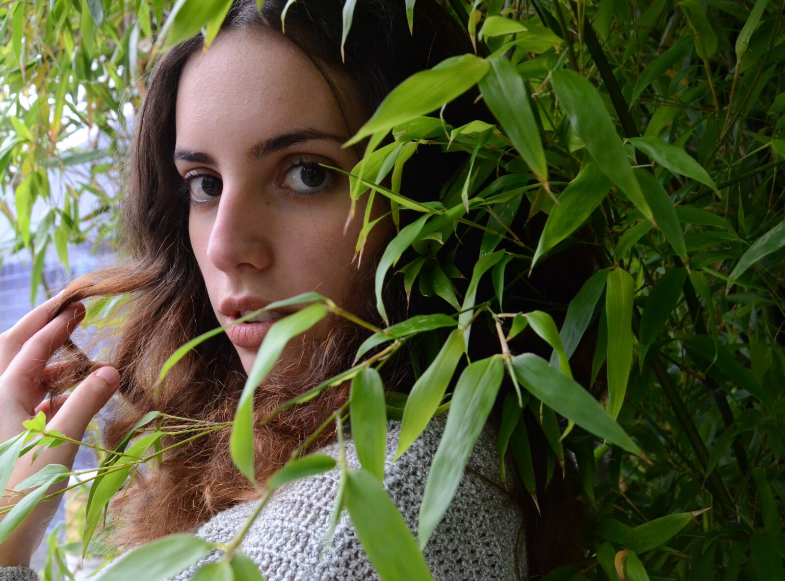 Nikon D7000 sample photo. Leaves, green, beautiful photography