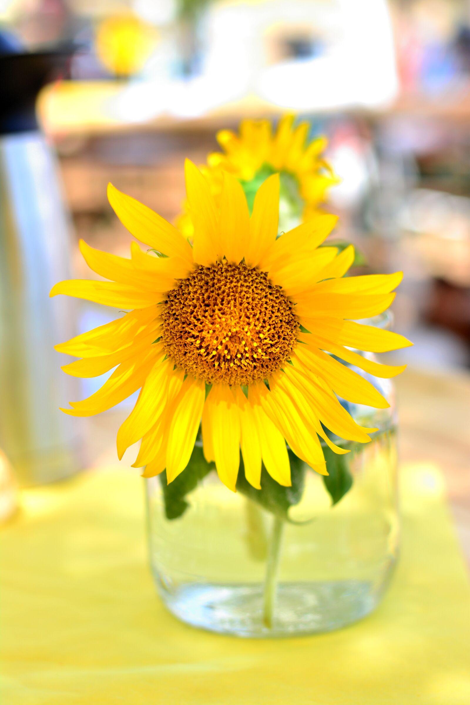 Nikon D5200 sample photo. Sunflower, yellow, summer photography